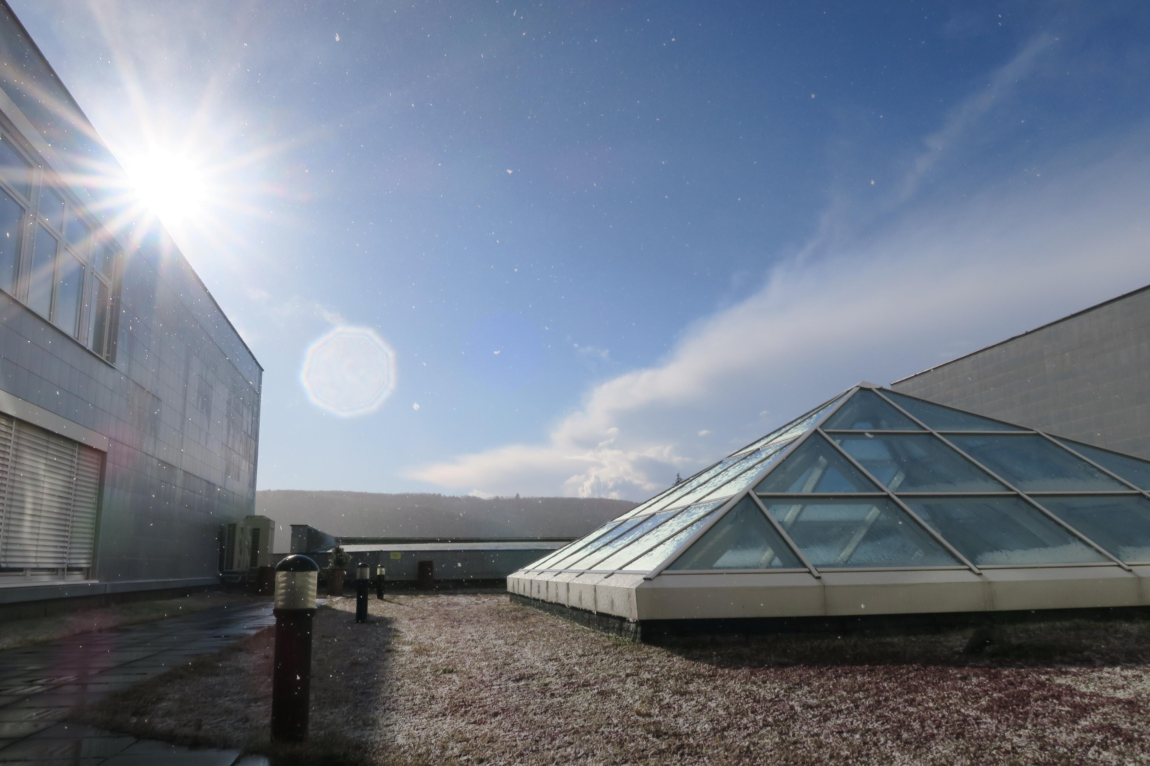 Ekonomicko-správní fakulta Masarykovy univerzity foto 6