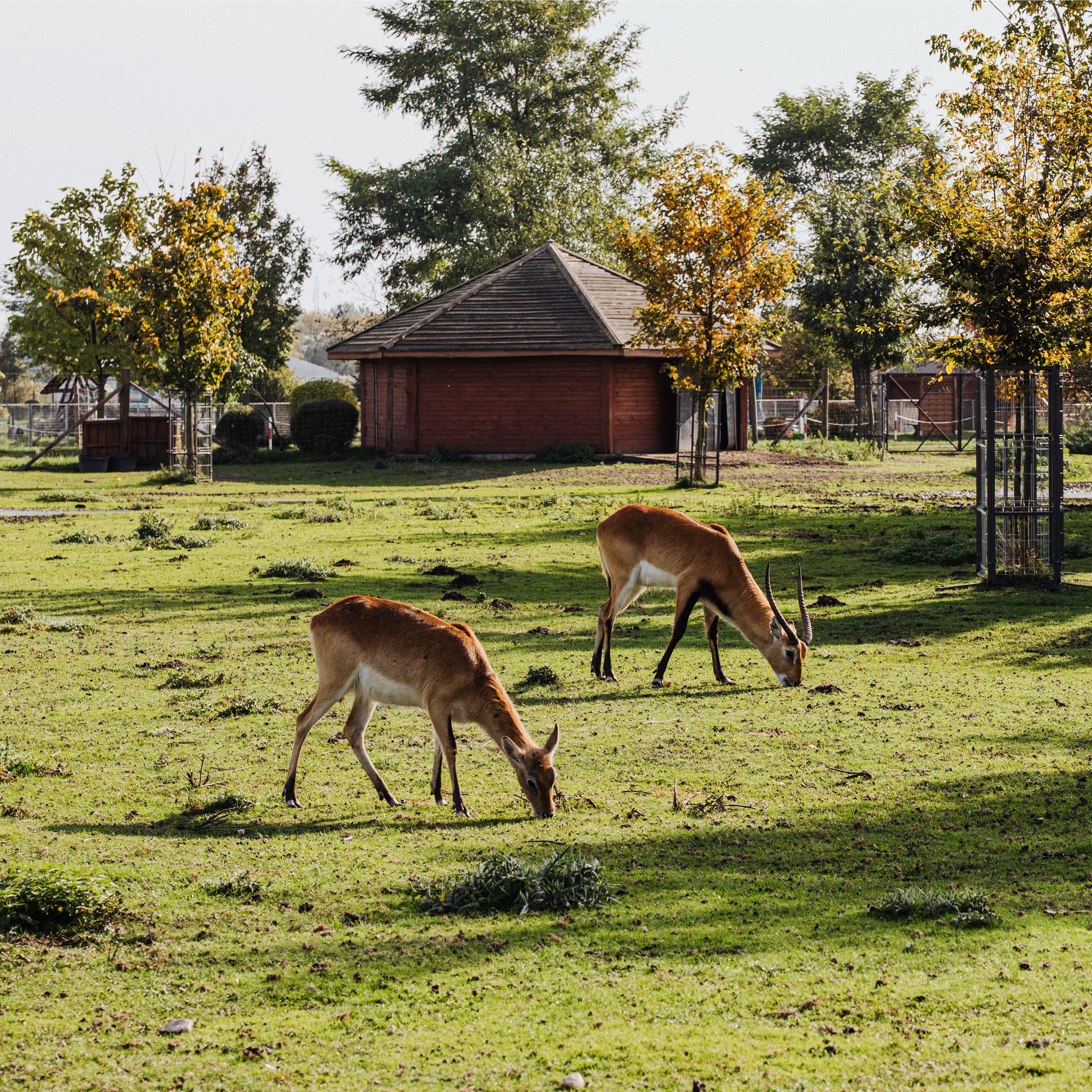 Fauna/flóra