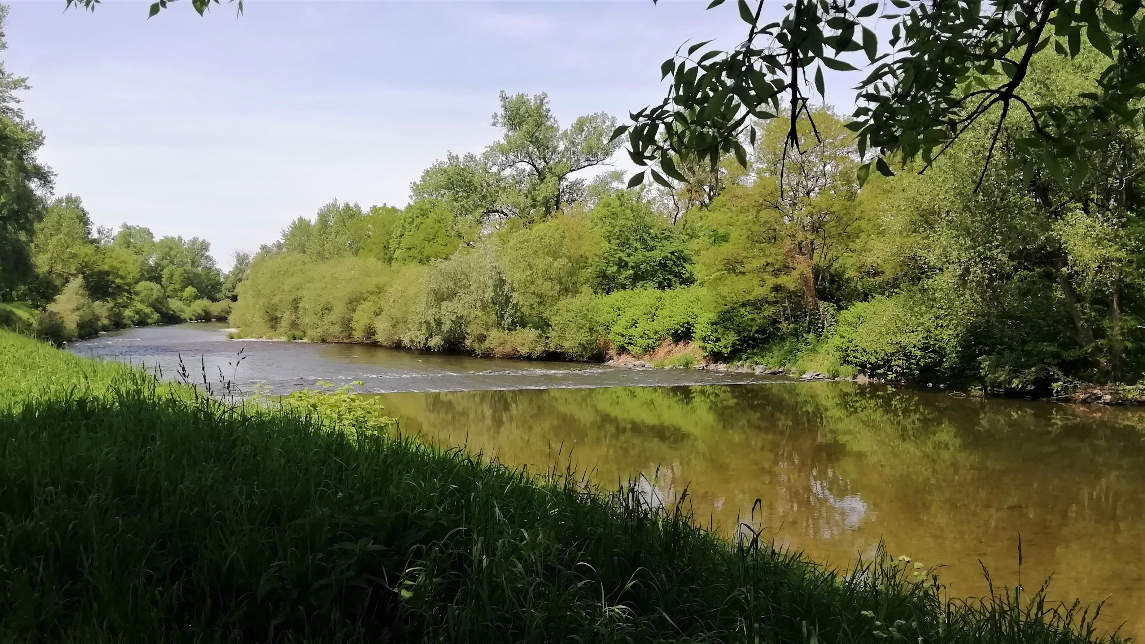 Hospoda Pod lípou foto 3