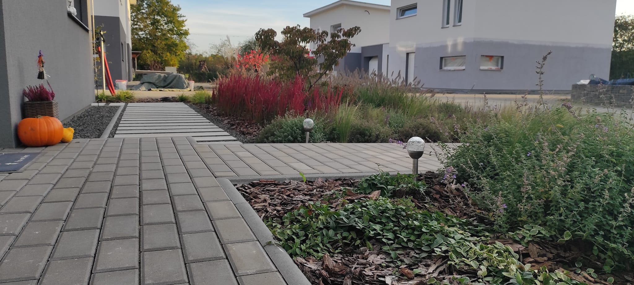 Gardenex foto 3