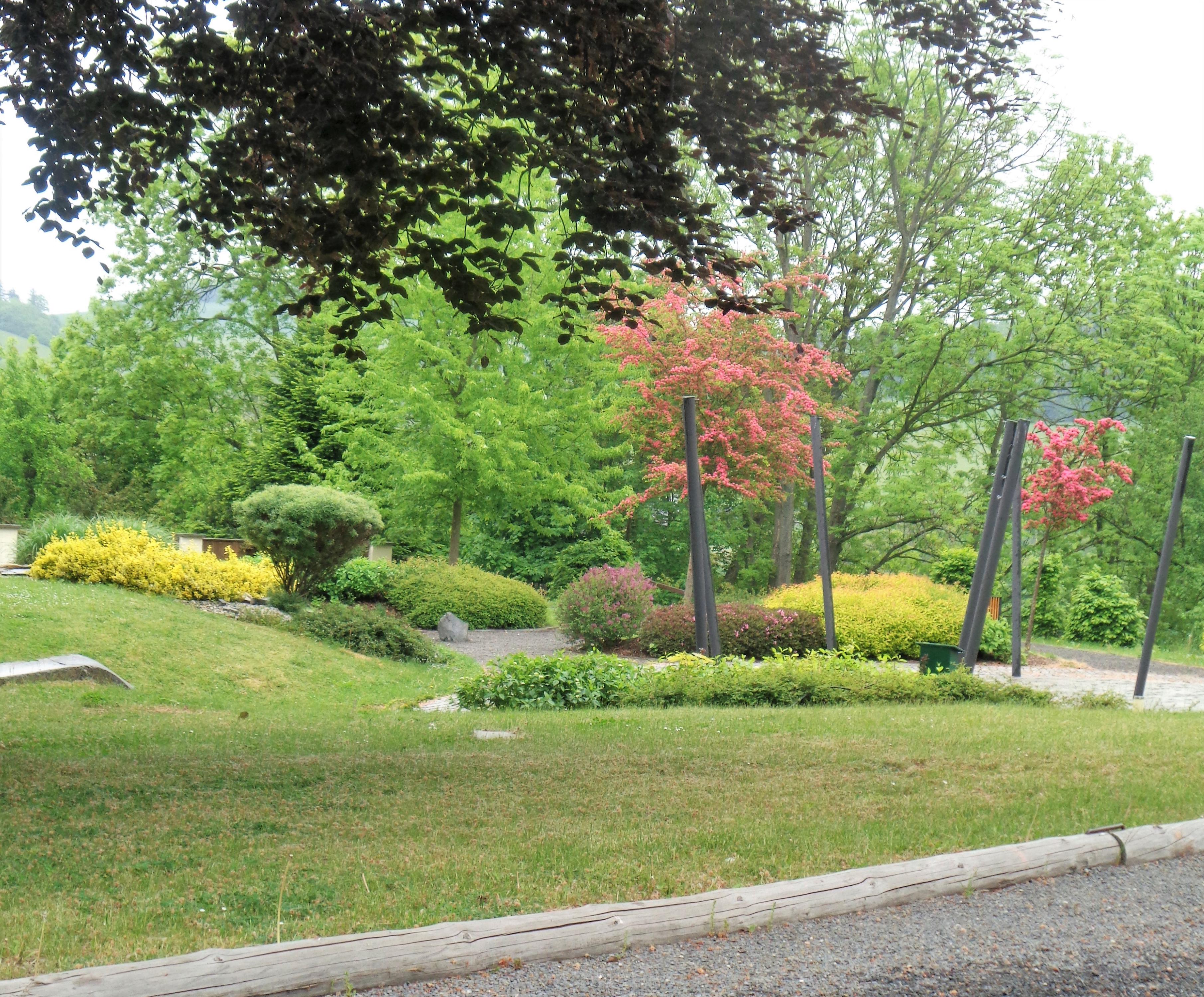 ZUŠ Hradec nad Moravicí foto 3