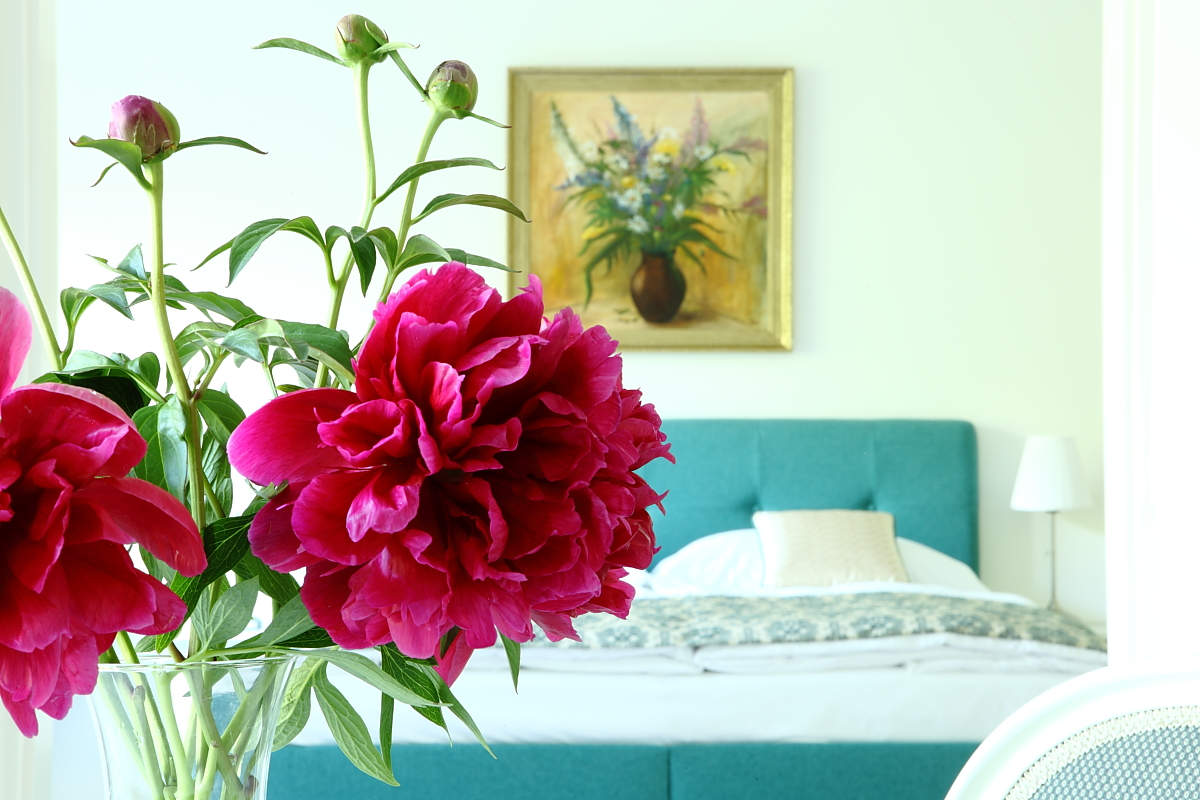 Apartmán v srdci Poděbrad