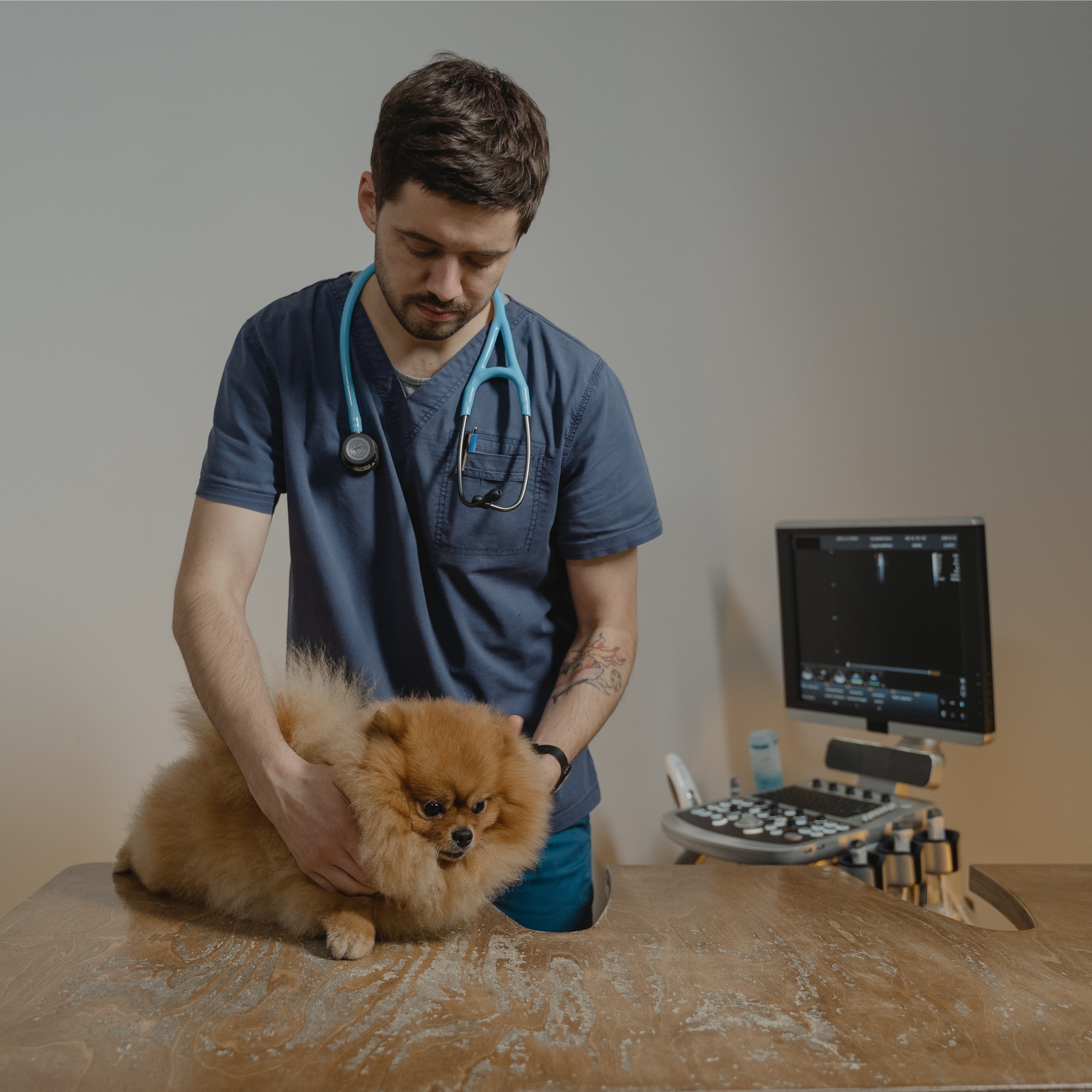 Veterinární péče