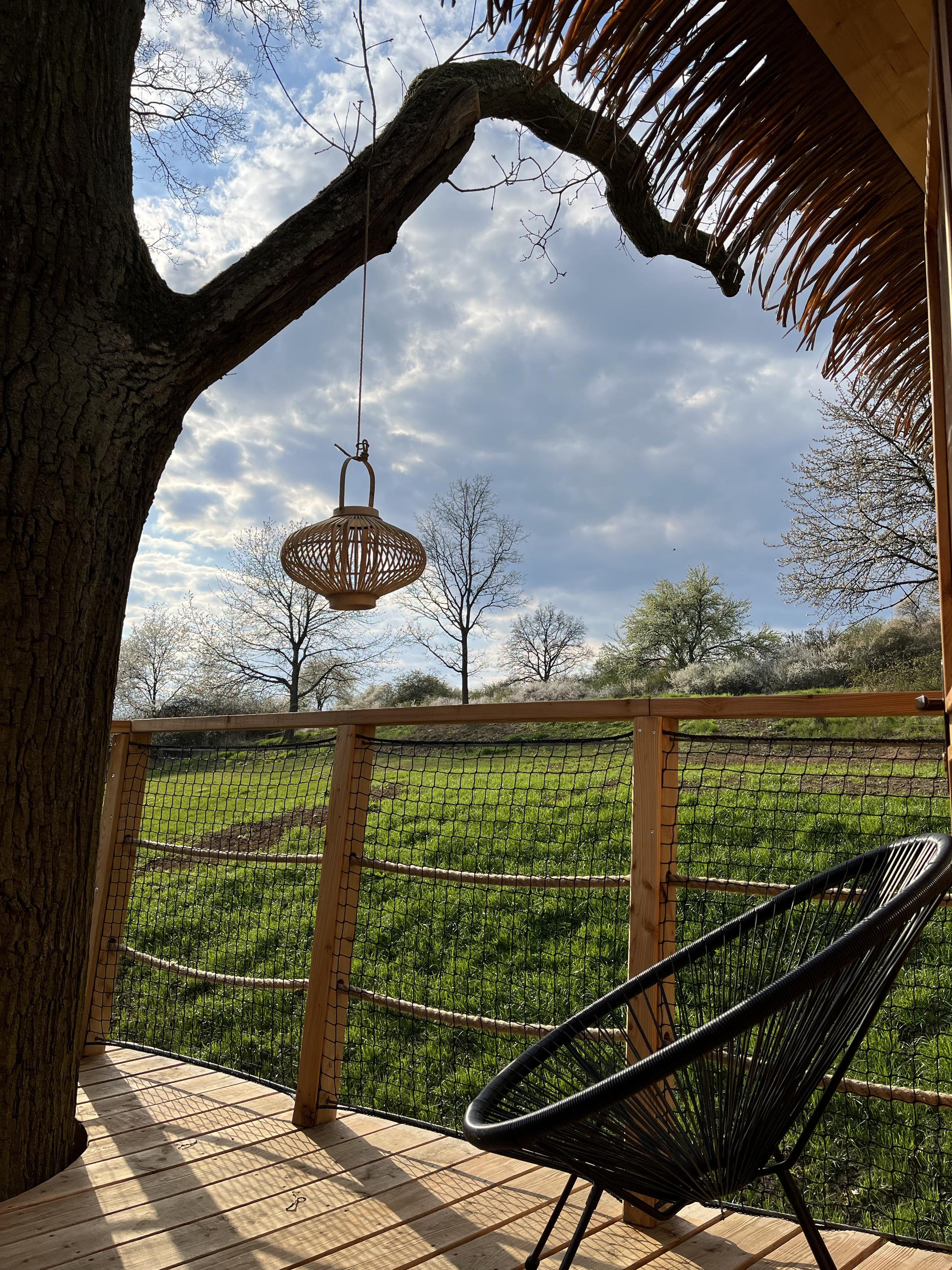 Treehouse Jenda foto 4