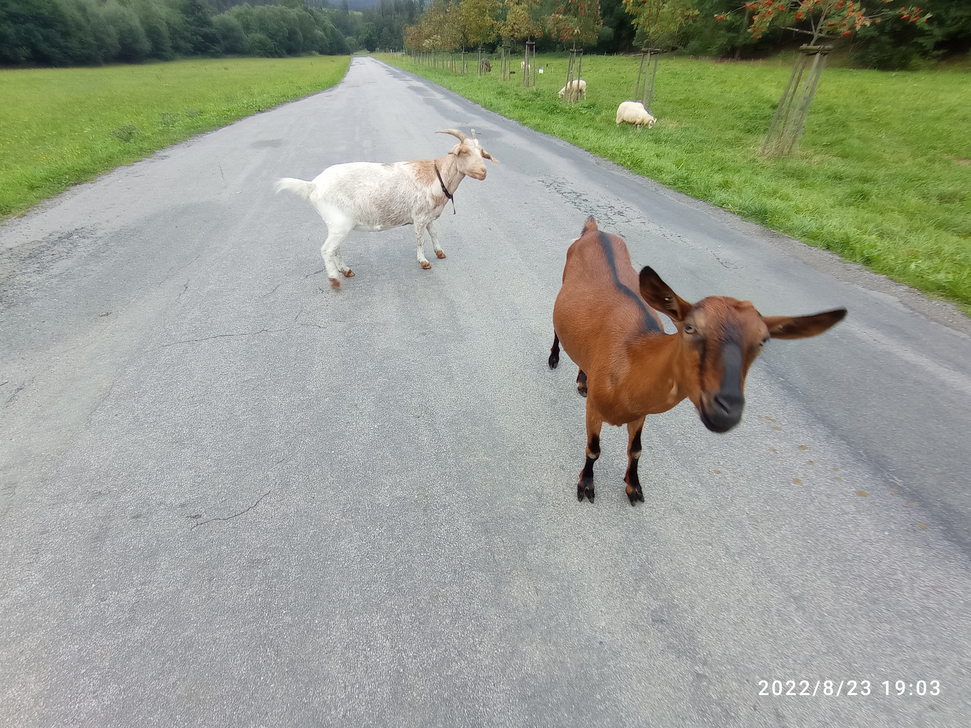 Kralická chata foto 6