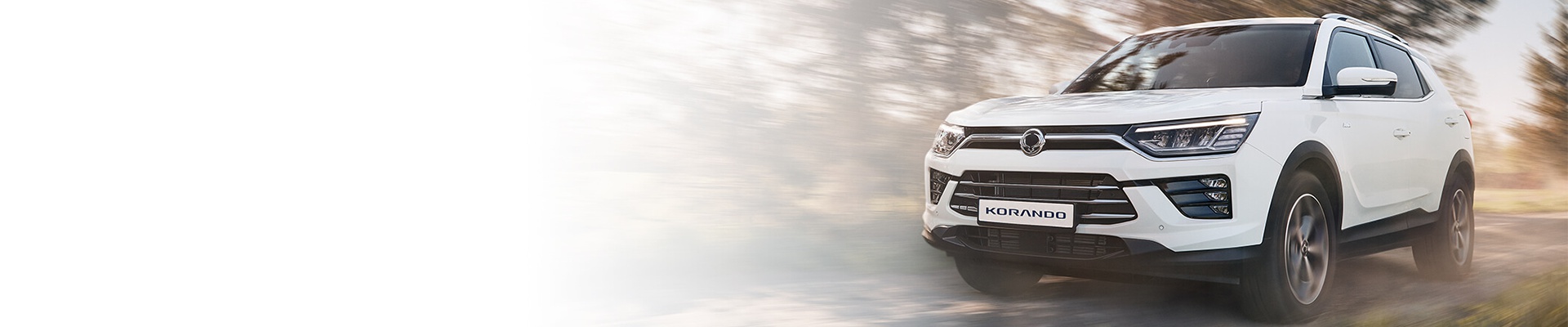 Úvodní obrázek VYSOČINA AUTO GROUP | KGM (SSANGYONG)