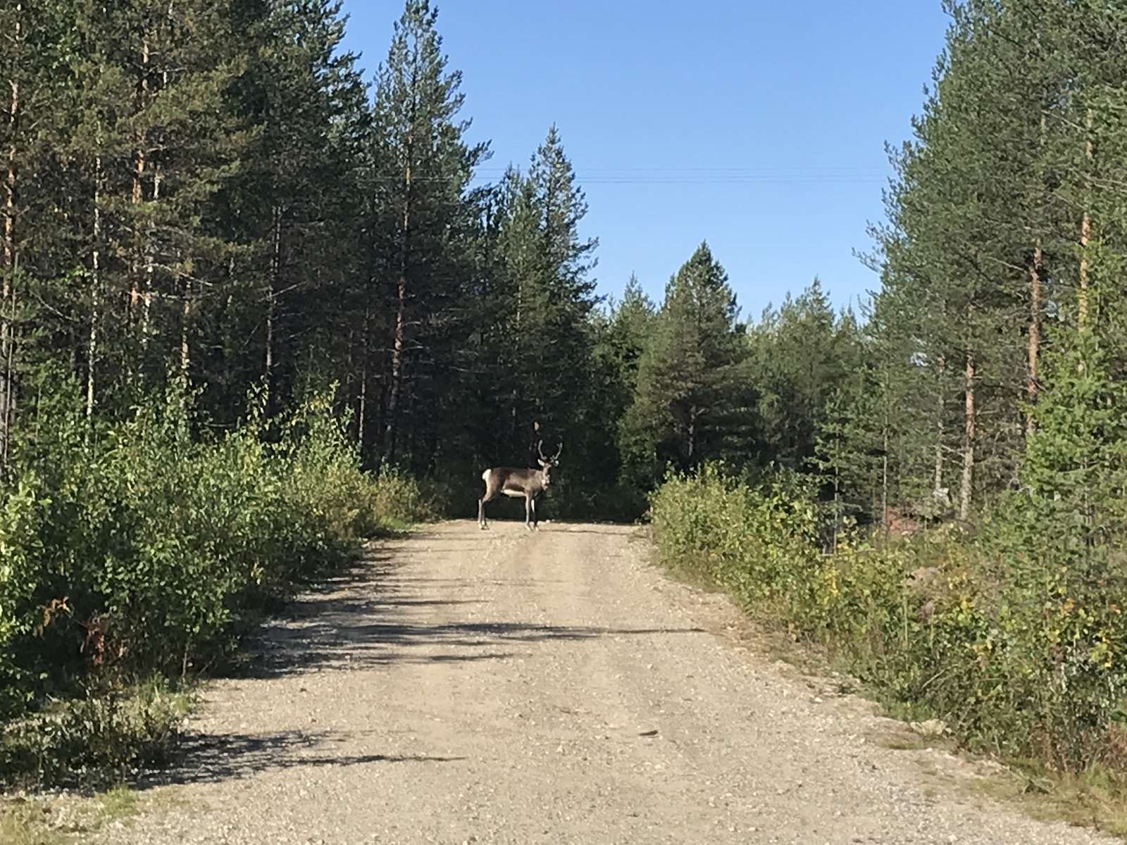 CK SCANDIA CZECH TOUR foto 6