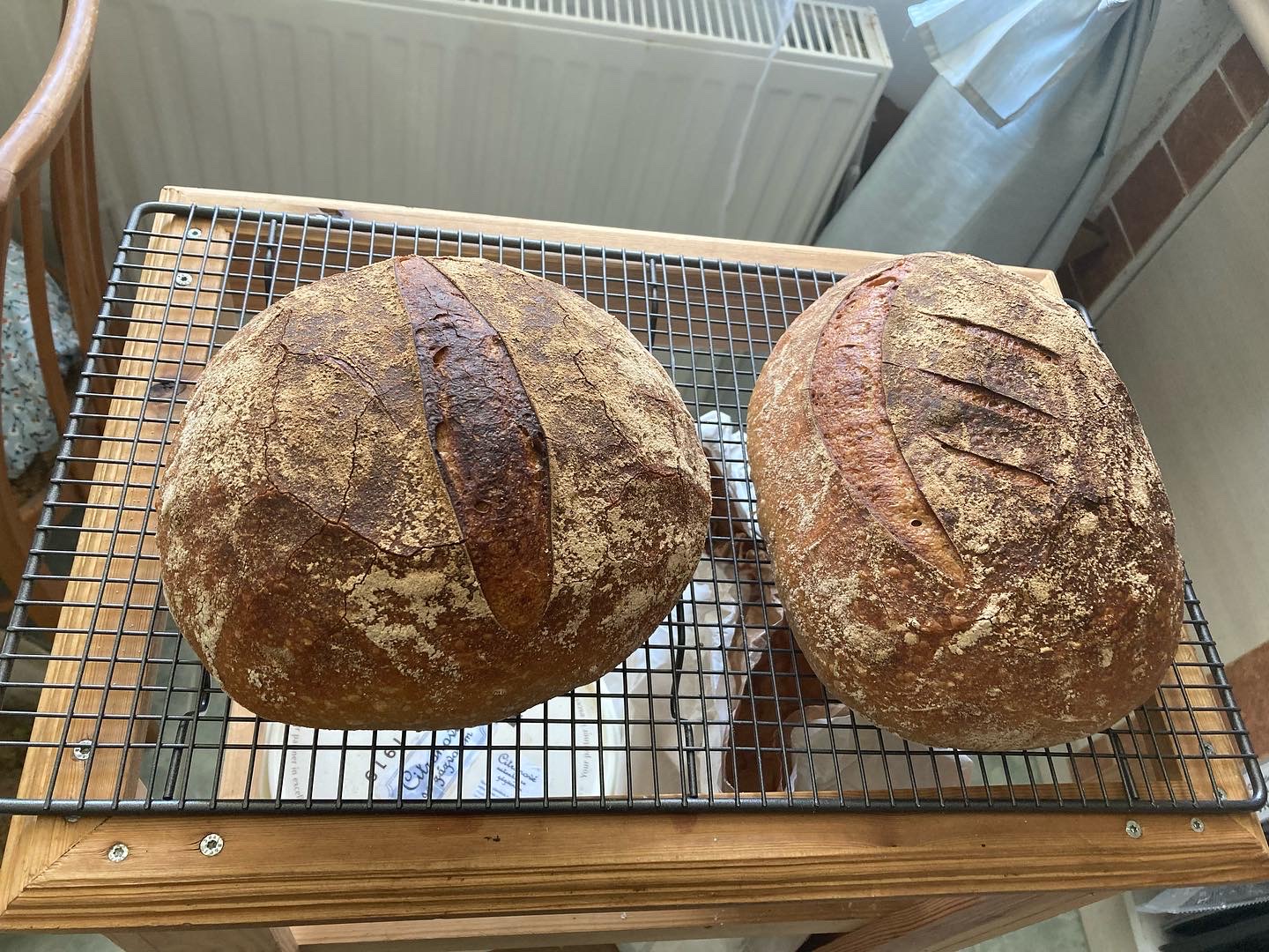 Osvěžovna pod lípou foto 3