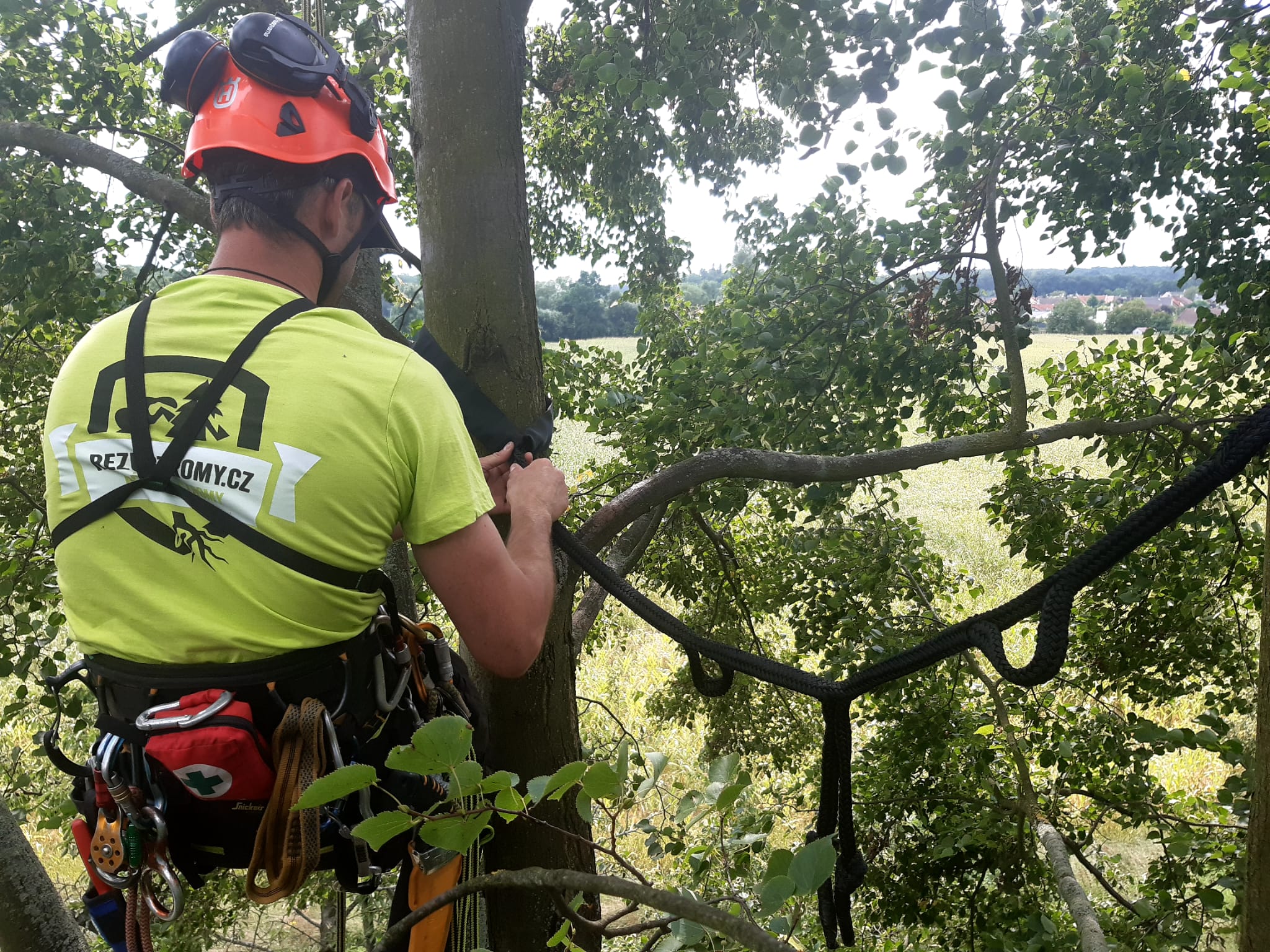 ŘEŽUSTROMY.CZ foto 3