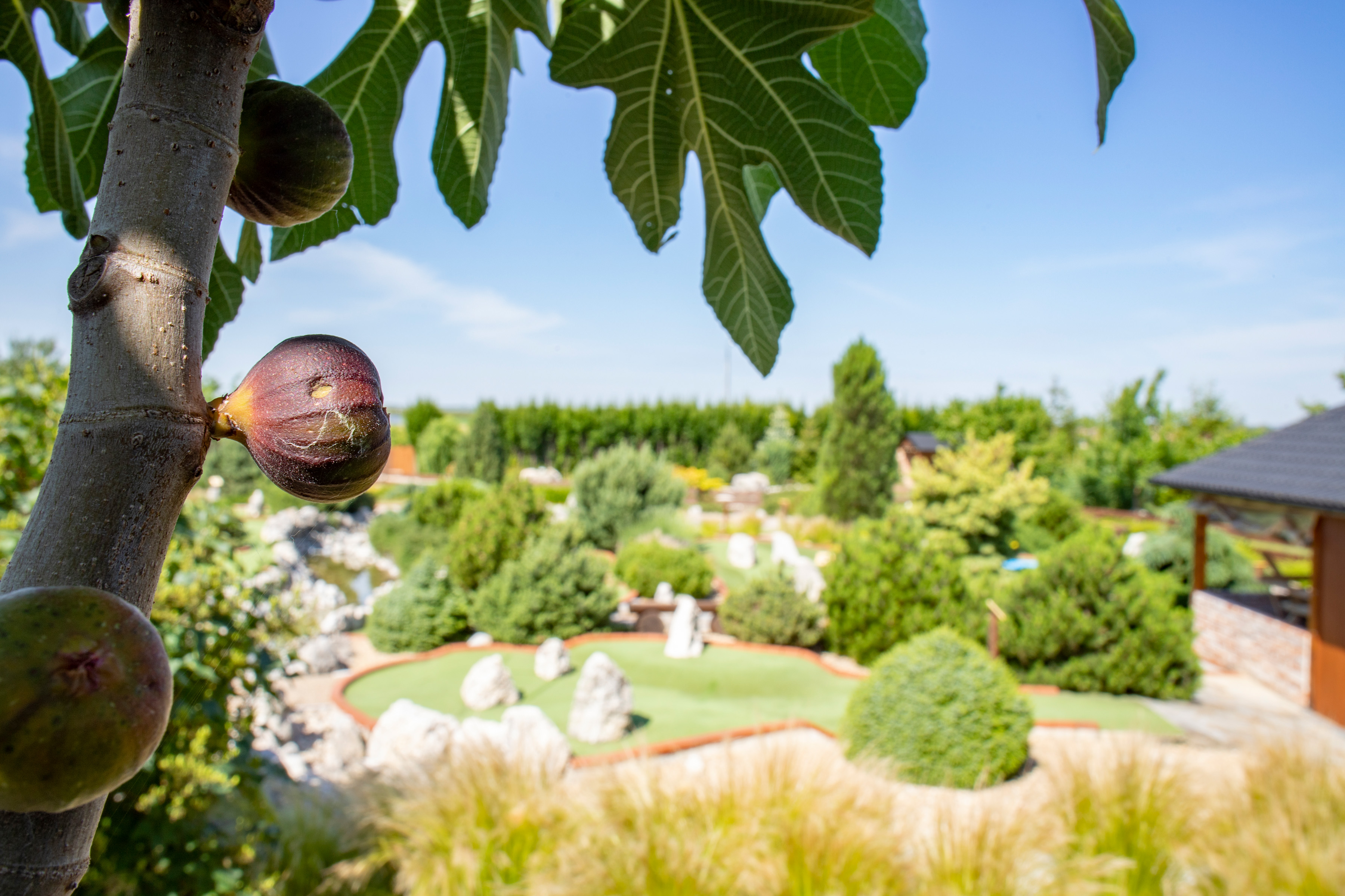 Adventure Golf Pálava foto 2