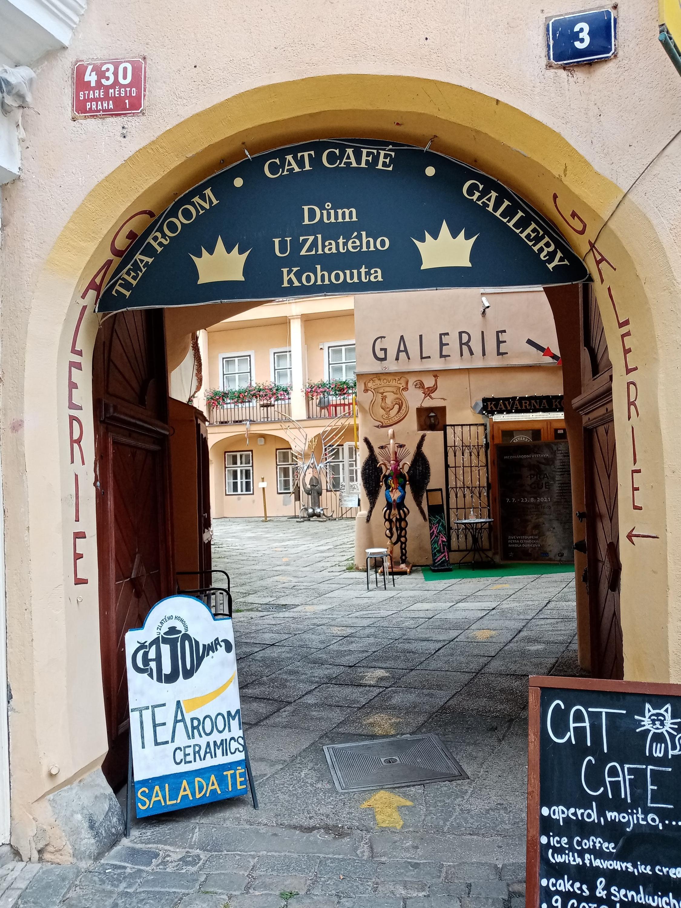 GALERIE U ZLATÉHO KOHOUTA, s.r.o. foto 6
