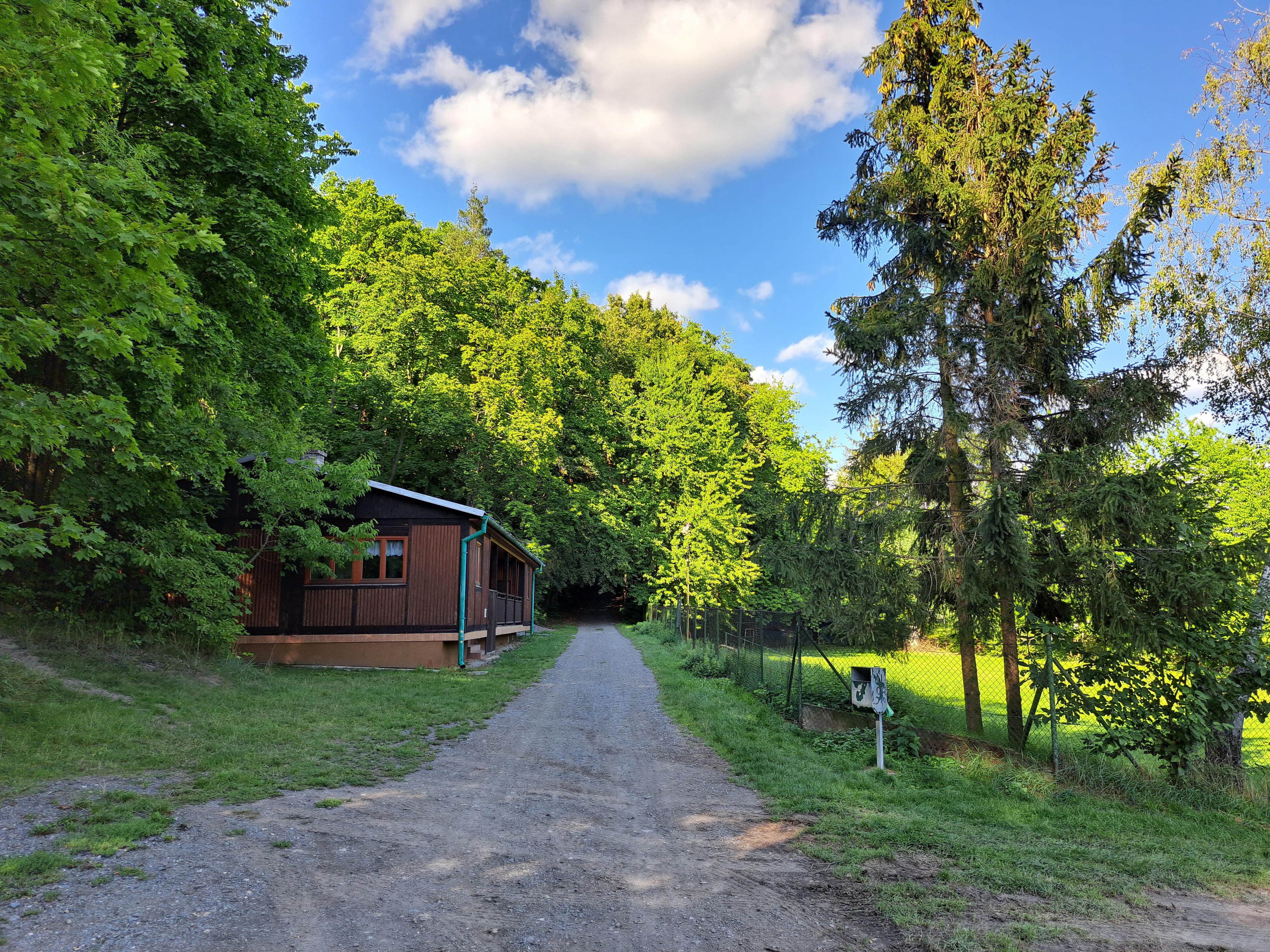 Kynologický klub Velká Bystřice foto 1