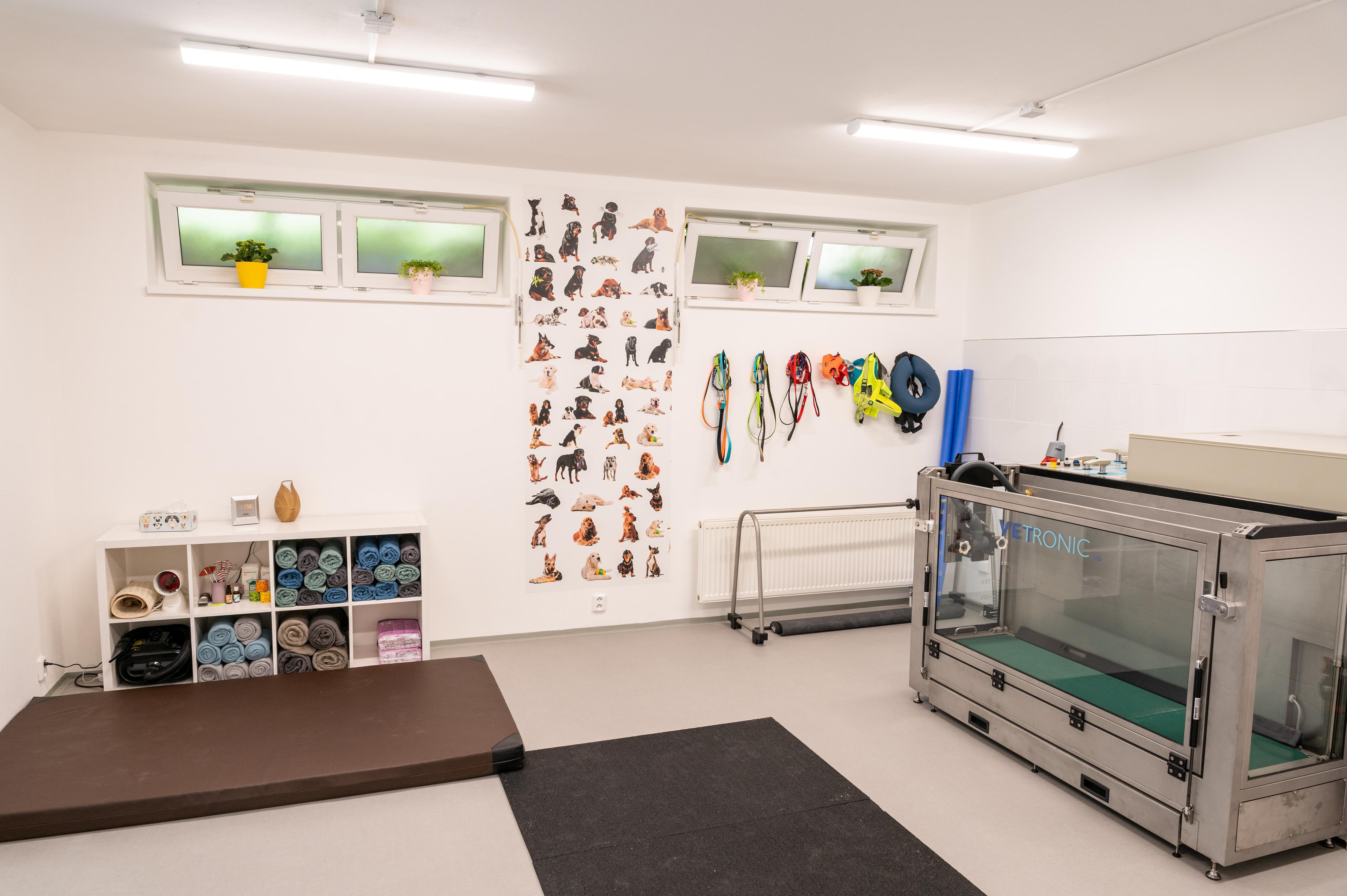 Fyzio pro psy - Ing. Ivana Votrubová, CertCAAPR