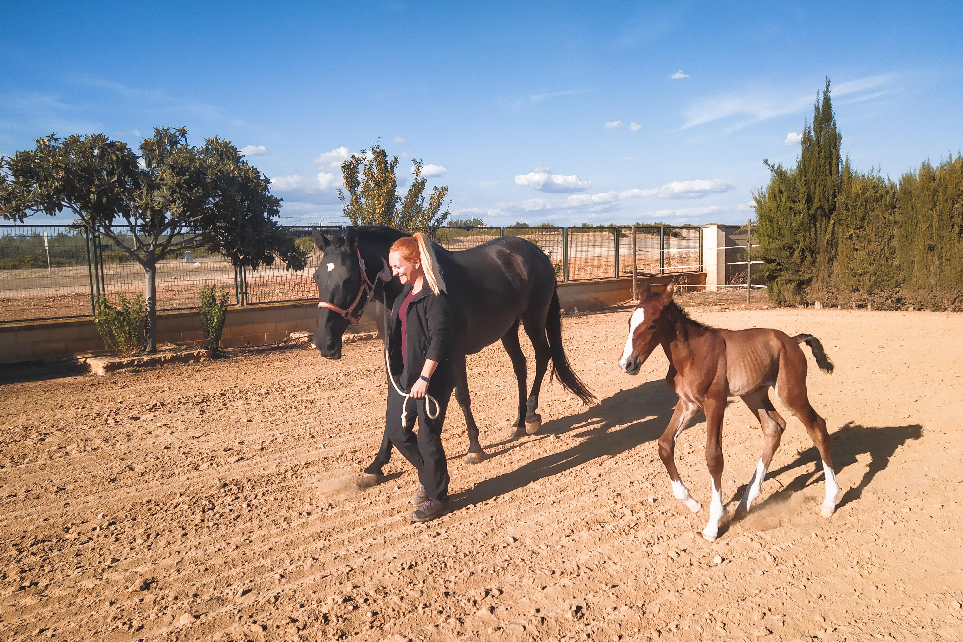 MVDr. Veronika Nováková foto 1