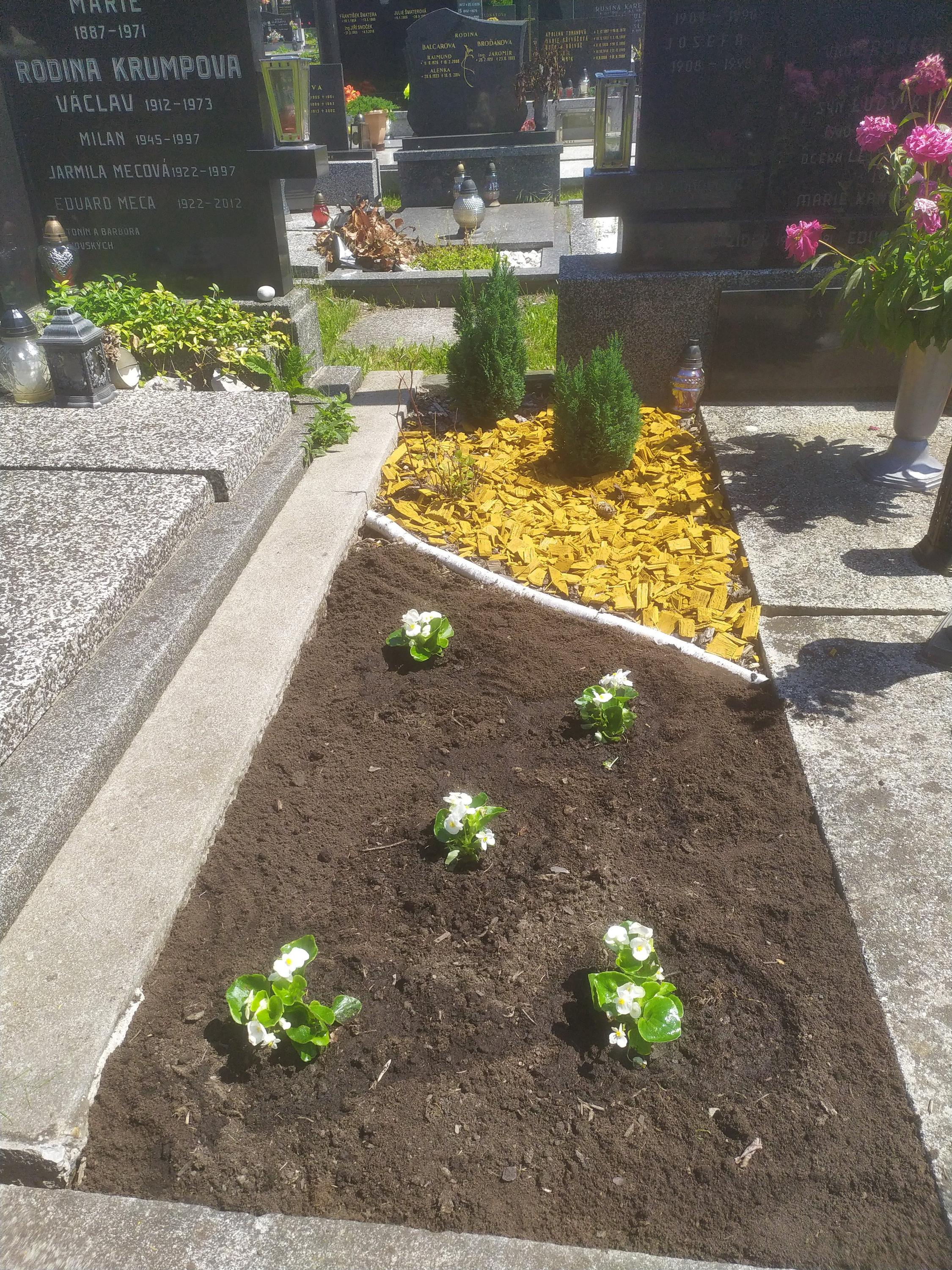 Péče o hroby - Hana Hamrozyová foto 4