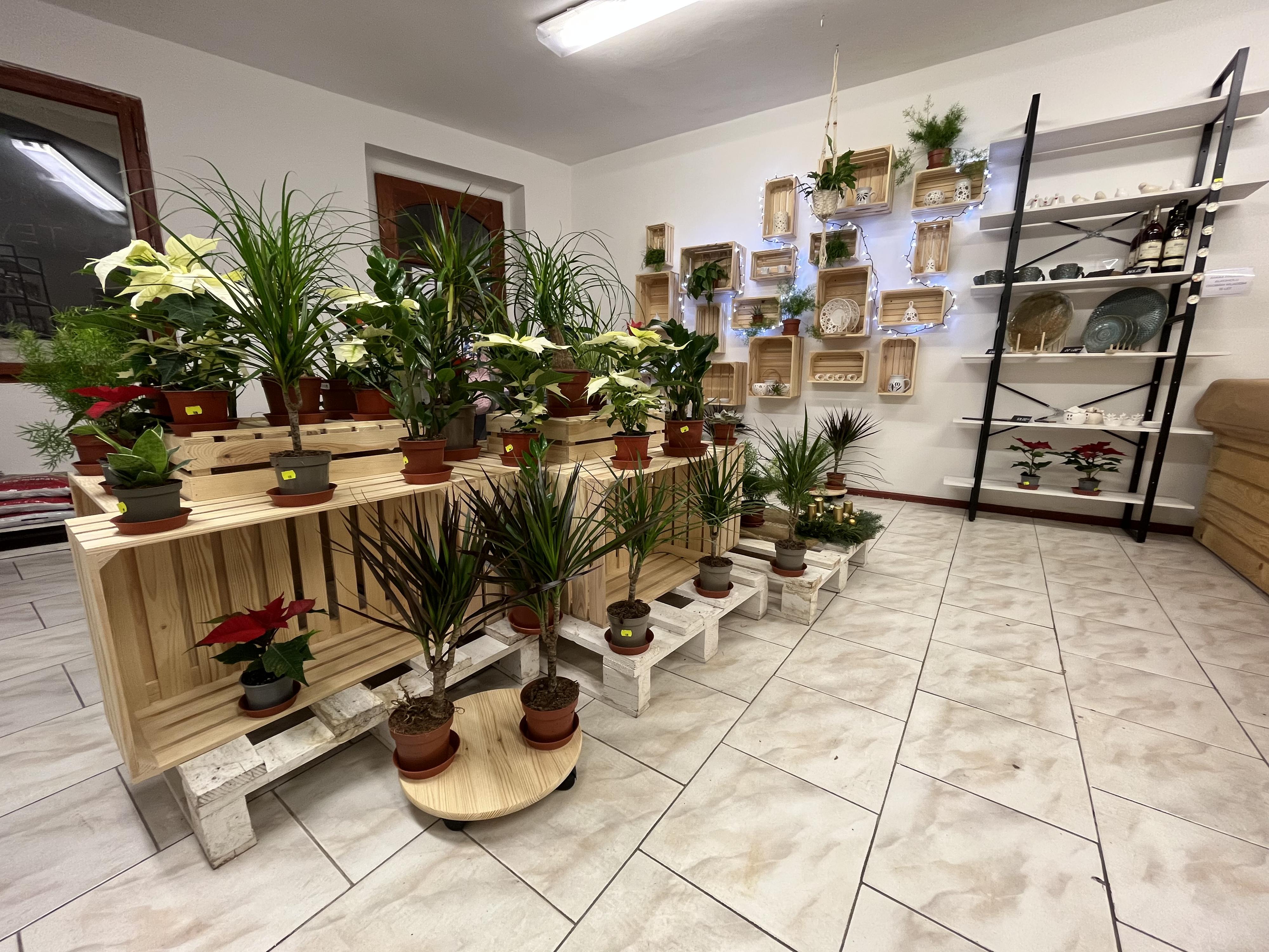 Rodinné květinářství Postoloprty foto 3