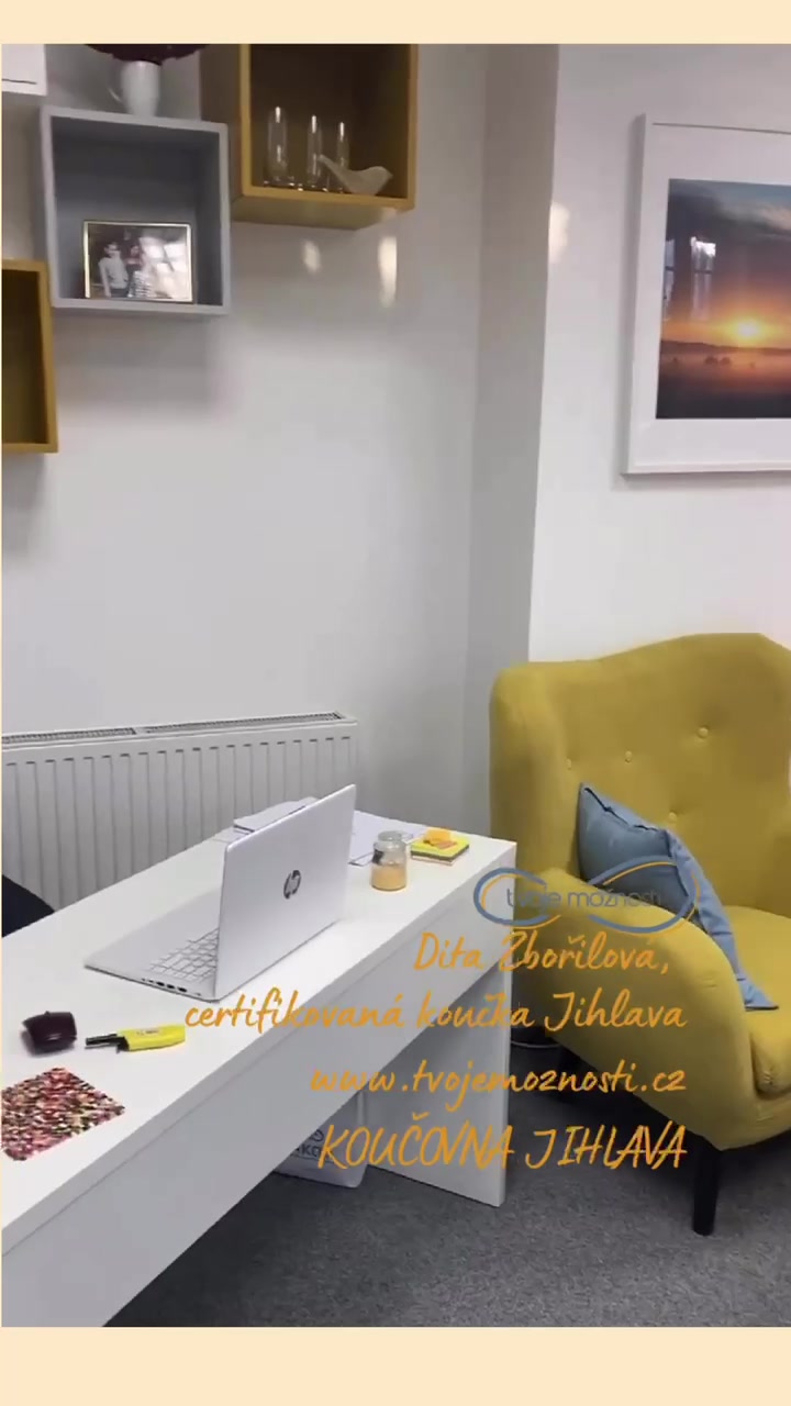 Tvoje možnosti Dita Zbořilová foto 2 (náhled videa)