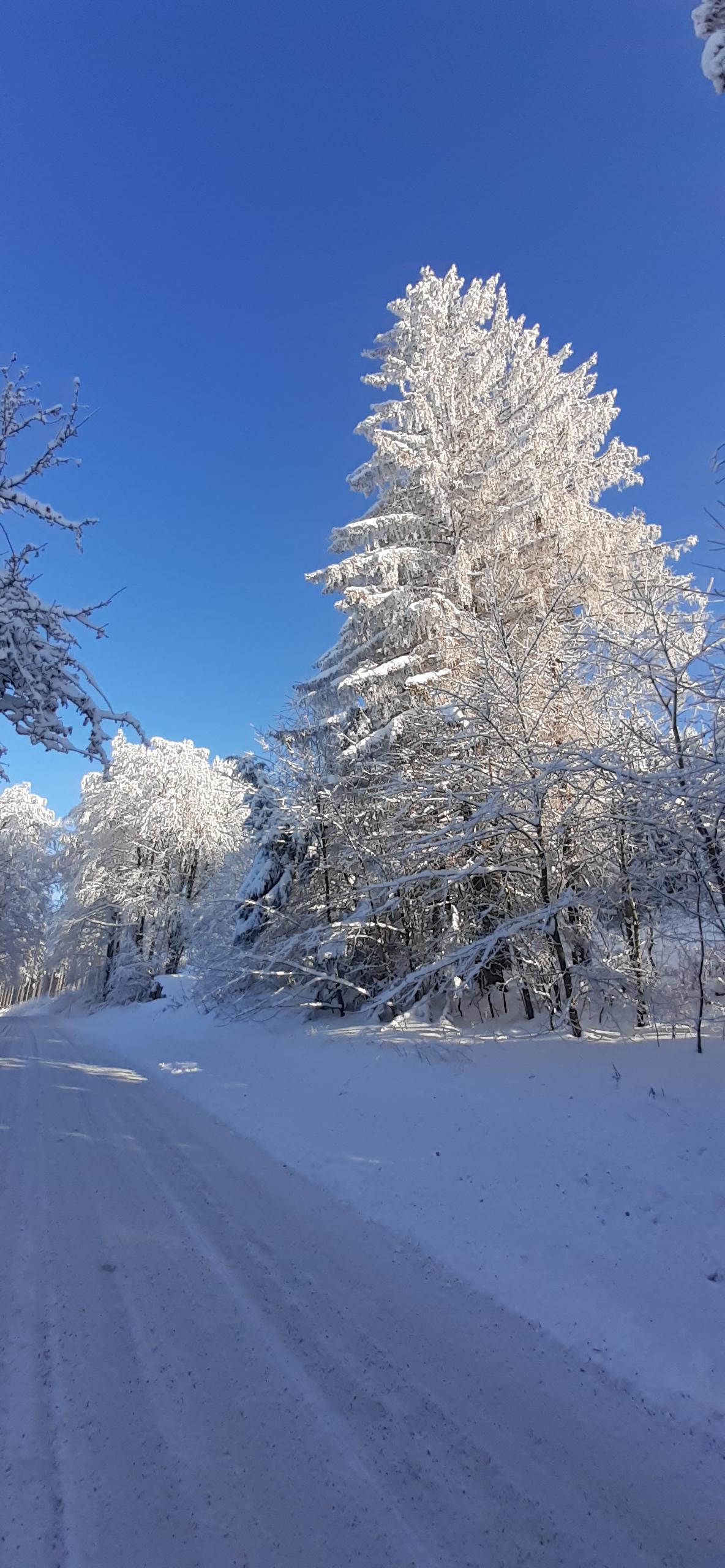 Hospoda na Dušné foto 4