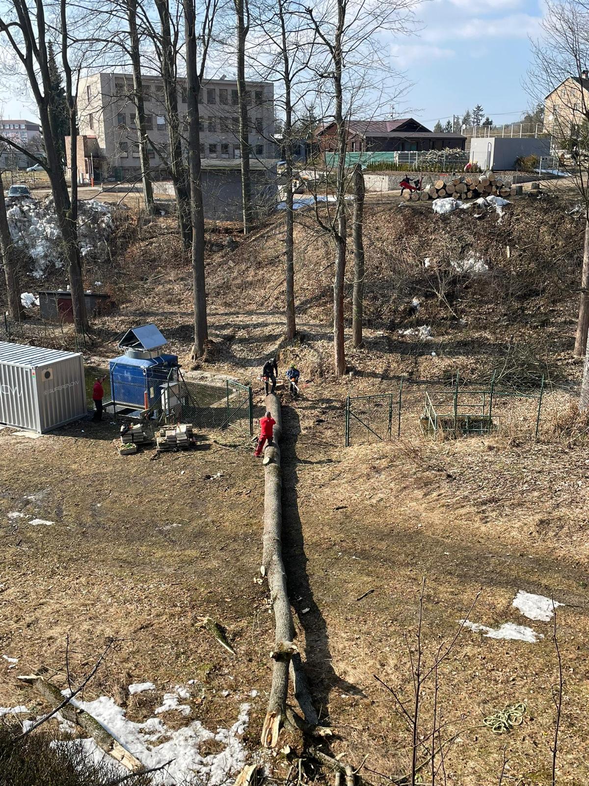 BERAN - Rizikové kácení stromů, údržba zeleně a výškové práce foto 5