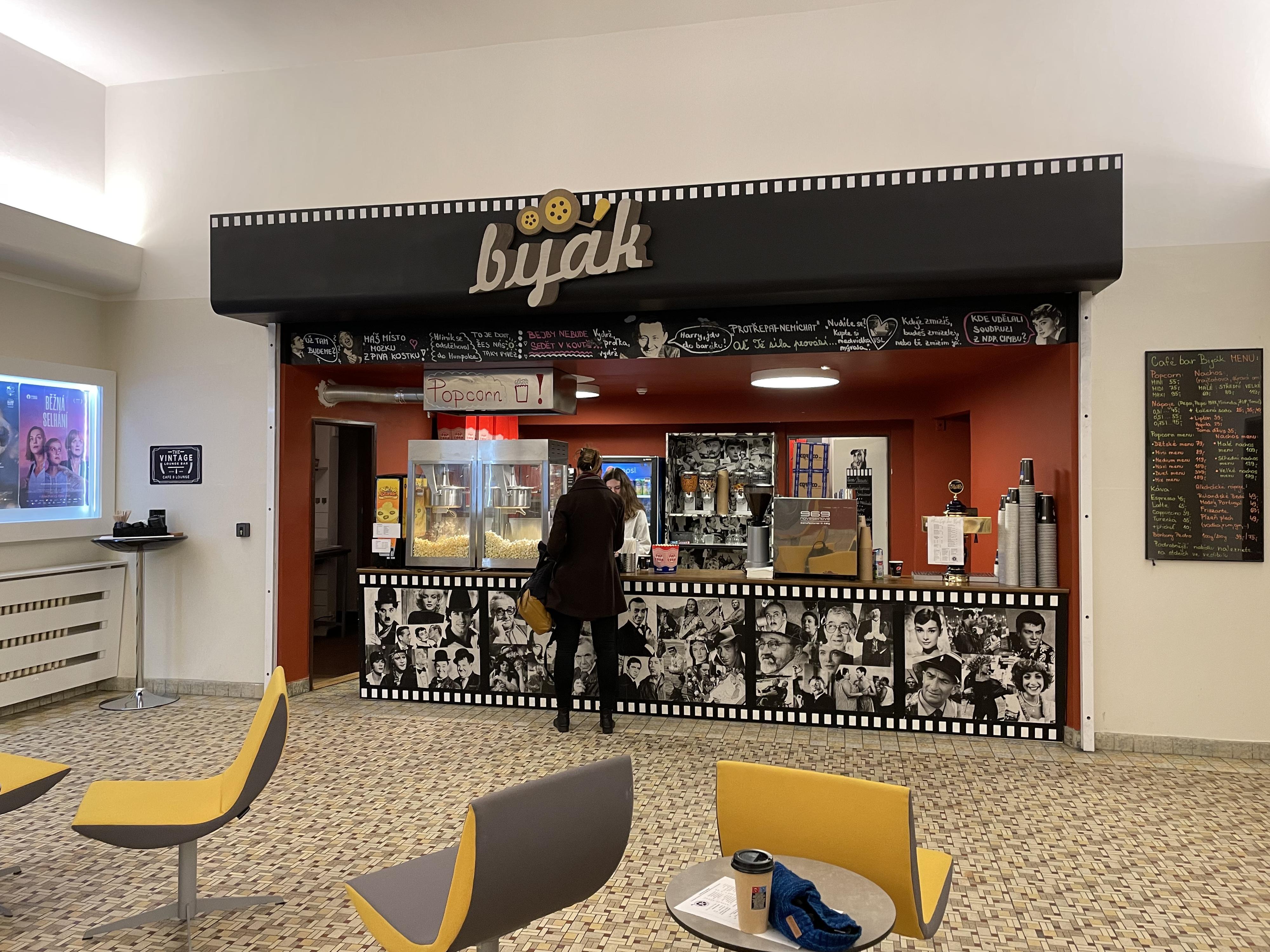 Kino VYSOČINA foto 3