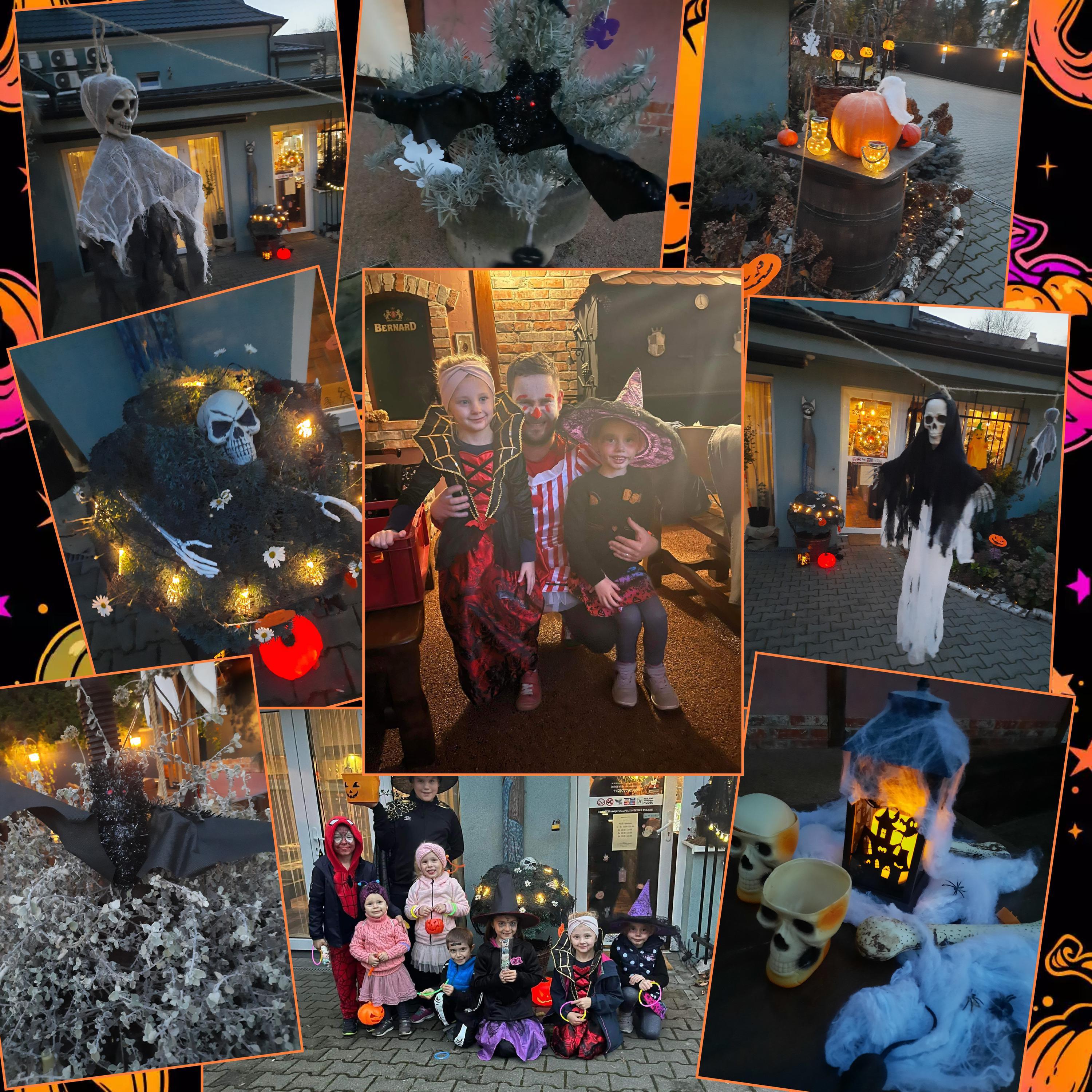 Restaurace u kocoura Olivera foto 3