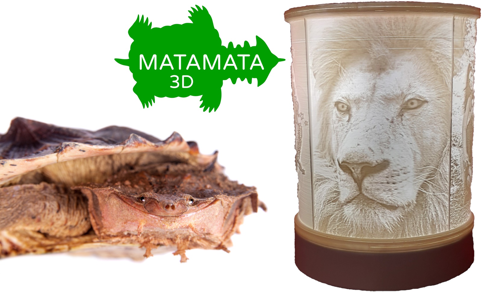 MATAMATA 3D foto 1