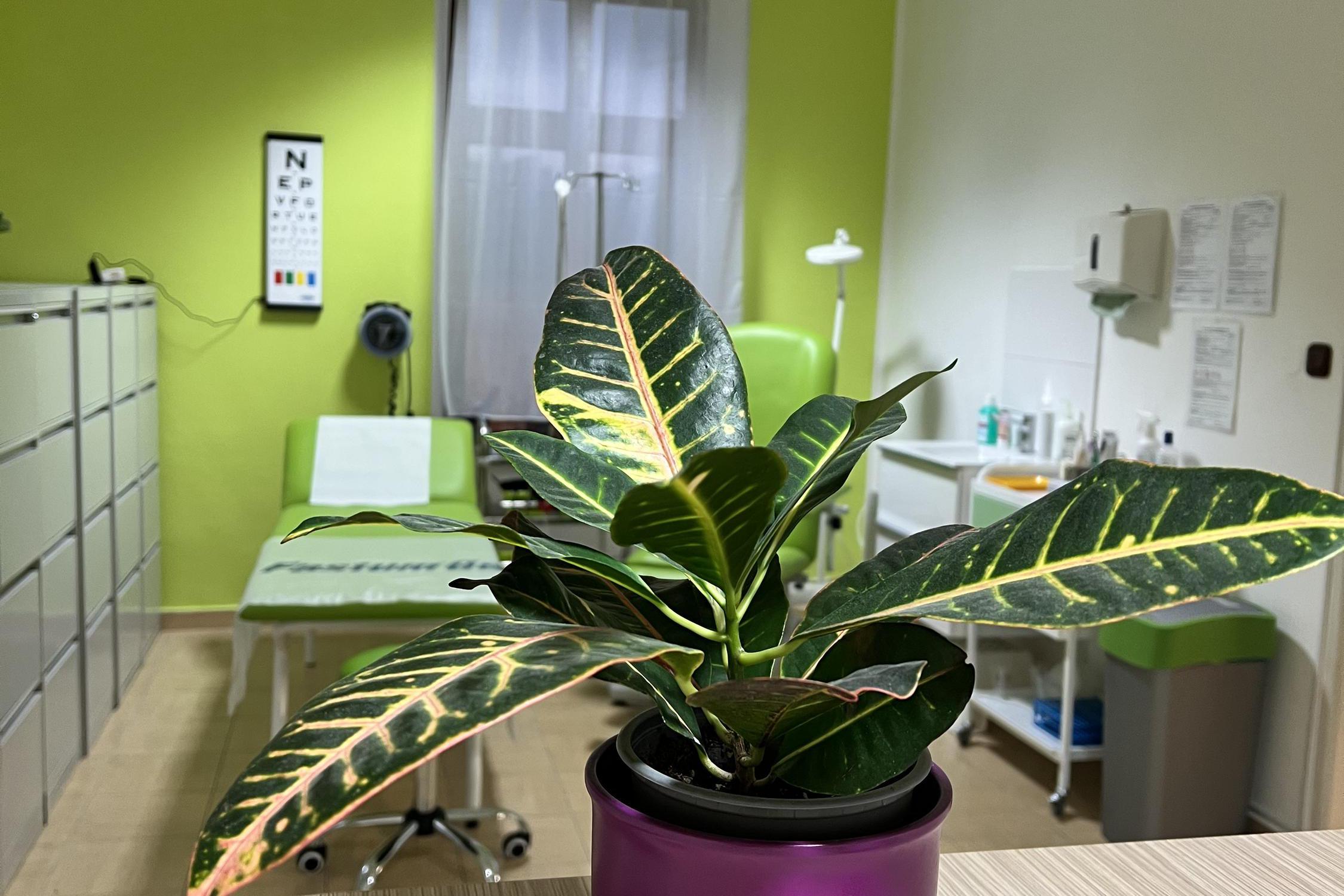 MUDr. Bartošová Ivana