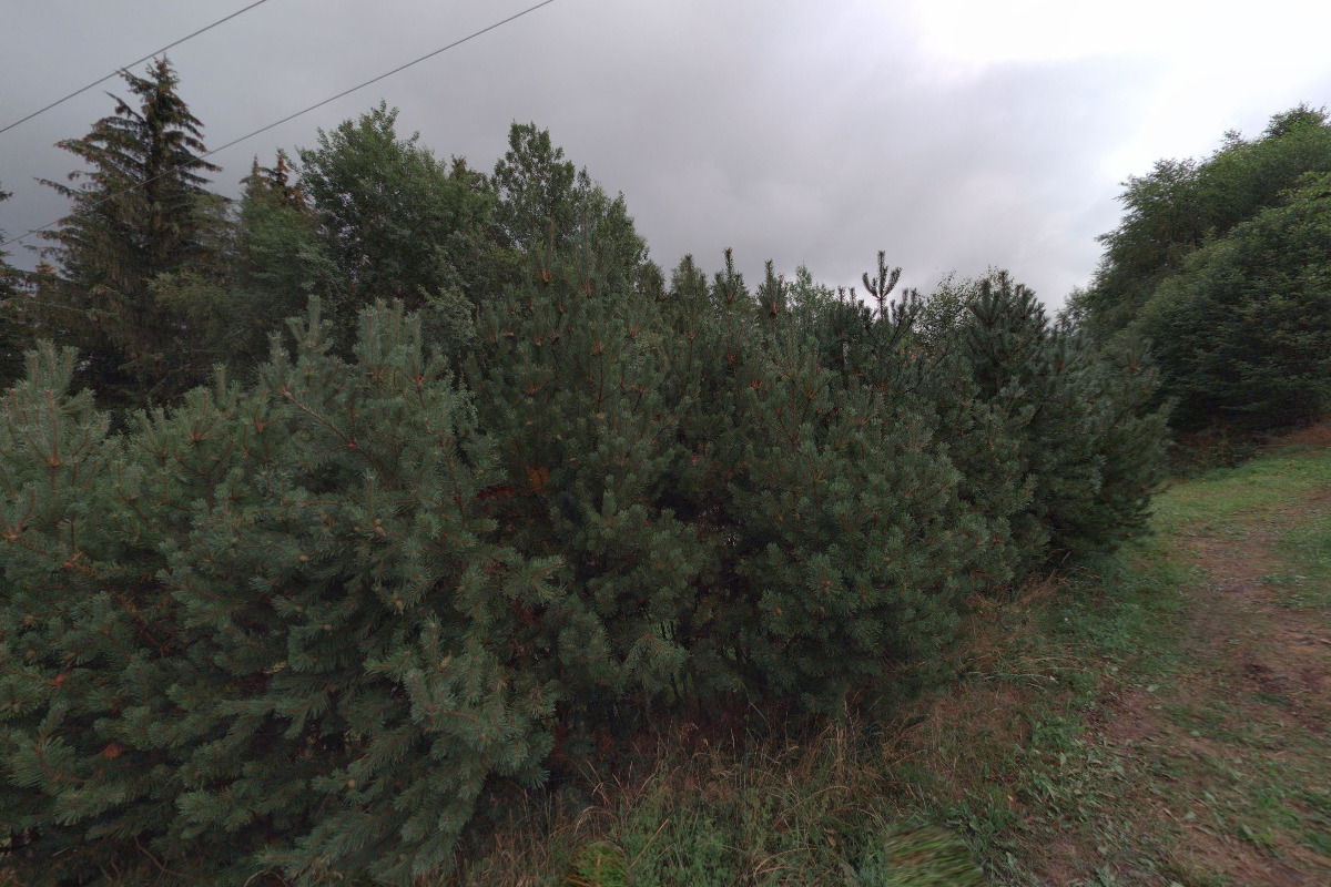 Hygge chaloupka v horách foto 1