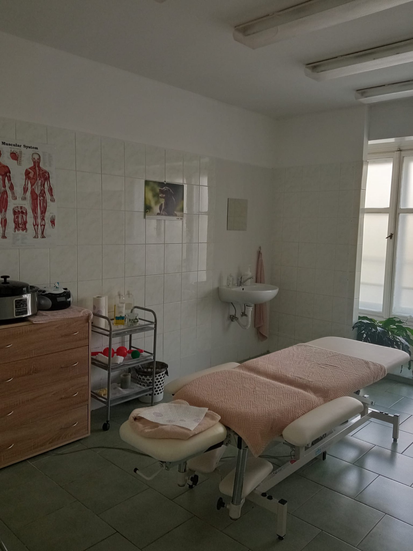 Masážní salon a pedikúra TyfloCentrum Ústí nad Labem o.p.s. foto 3