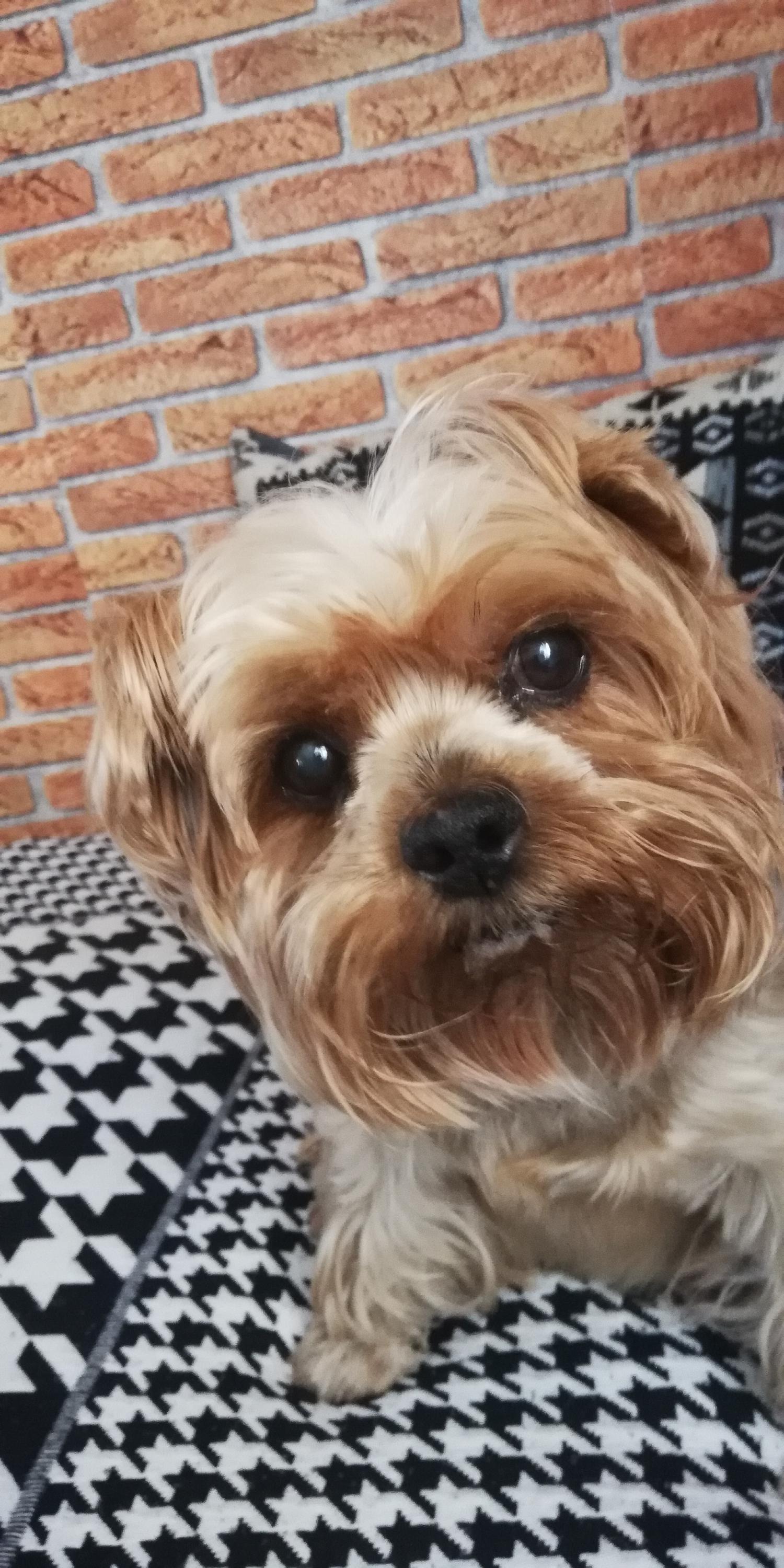 Veterinární klinika VETOPET foto 2