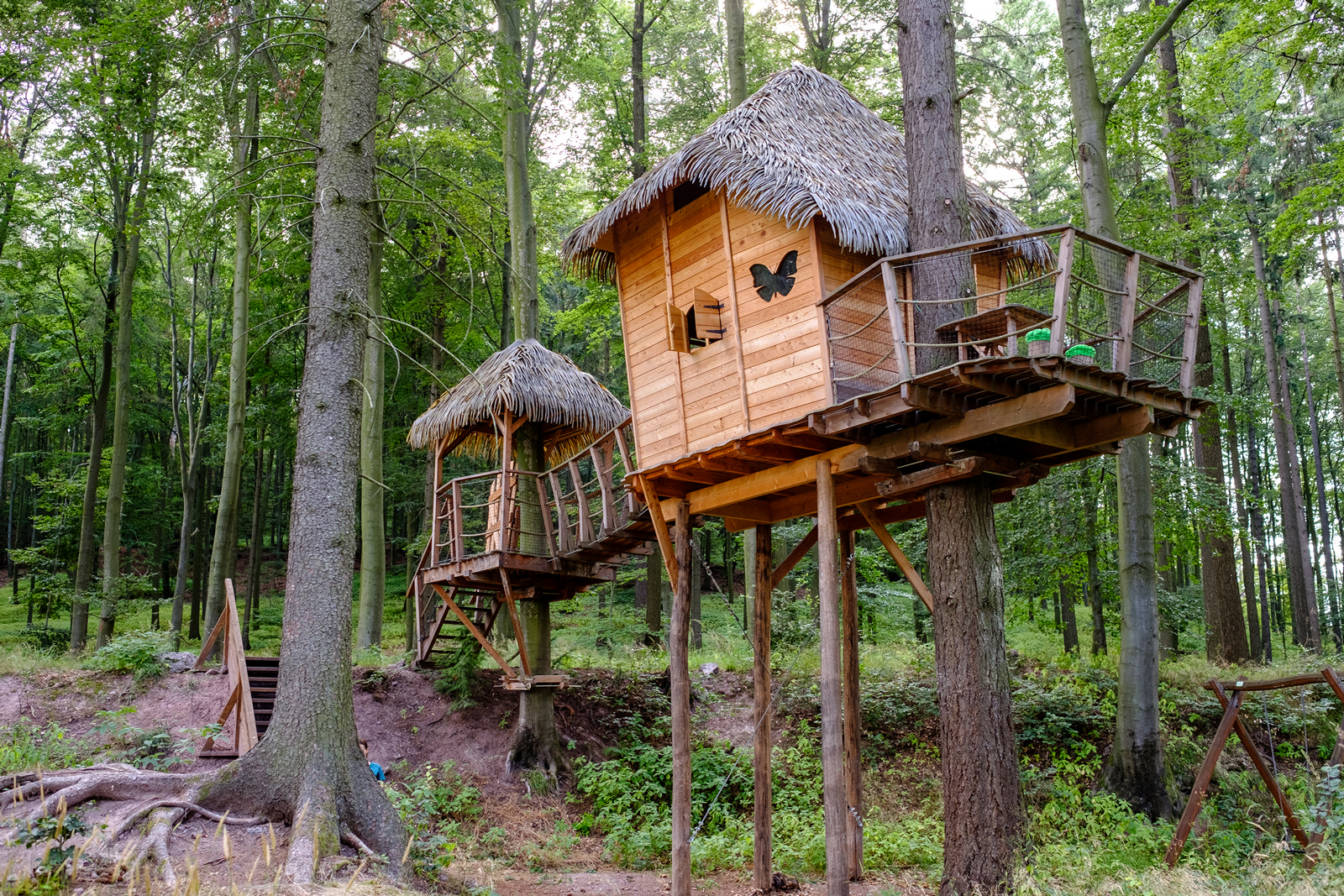 Tree house Sojčí hnízdo foto 2