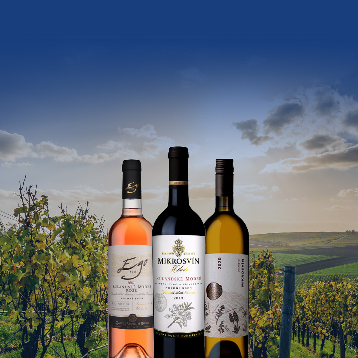 Vinnet.cz foto 2