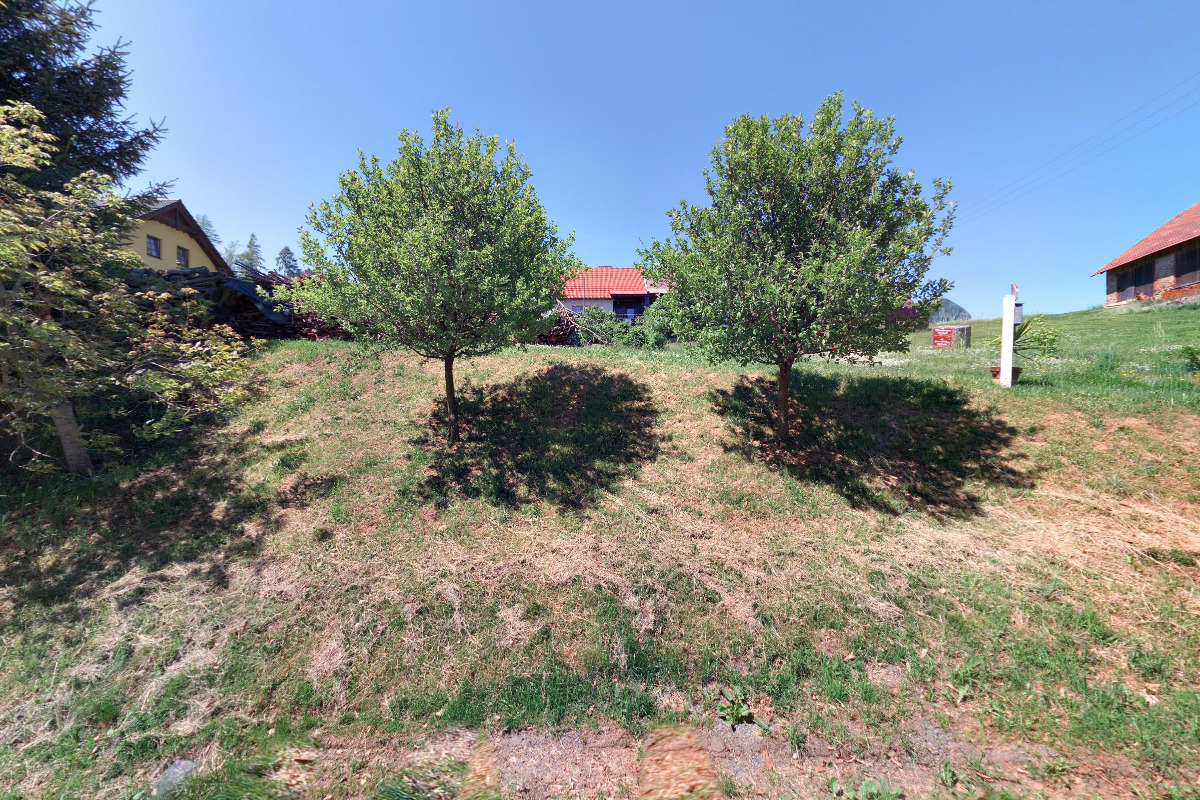 Moravecké Pavlovice - obecní úřad foto 3