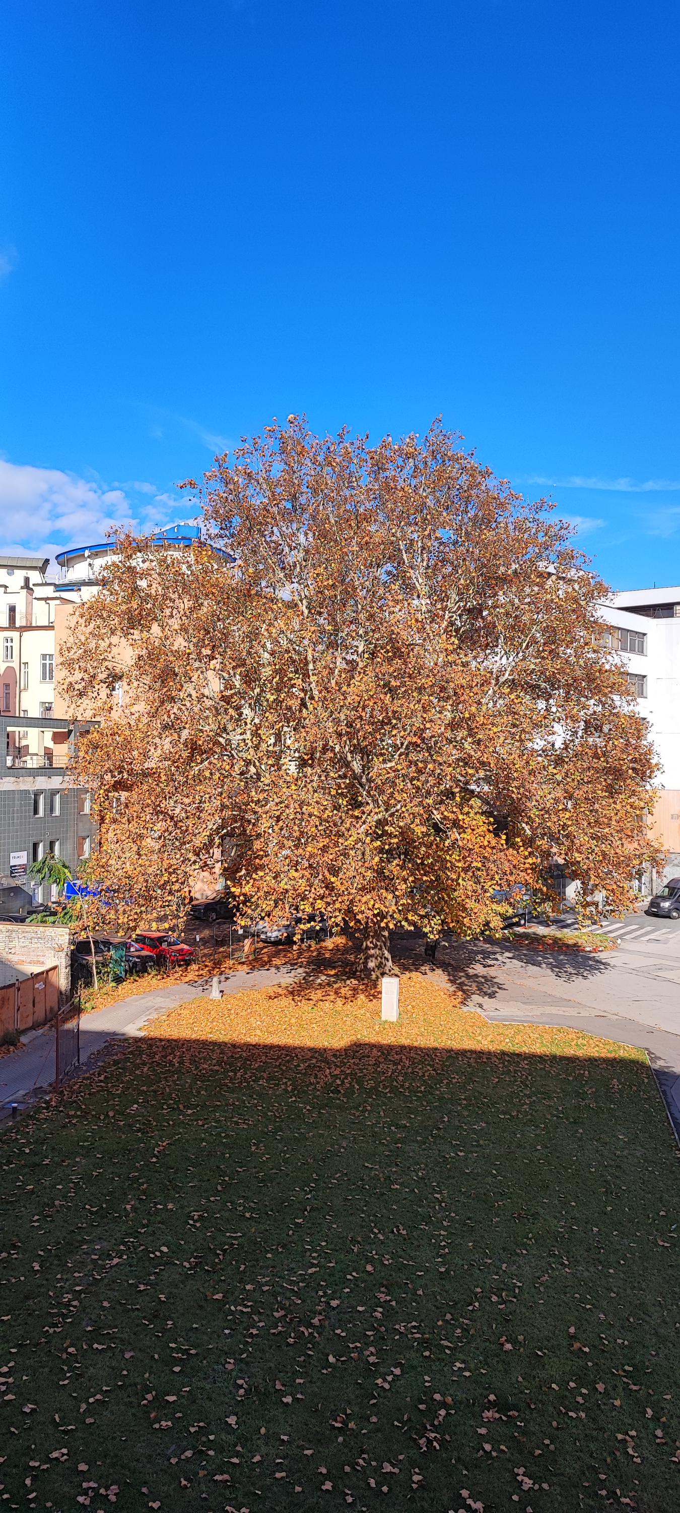 1st English Academy - jazyková škola foto 4