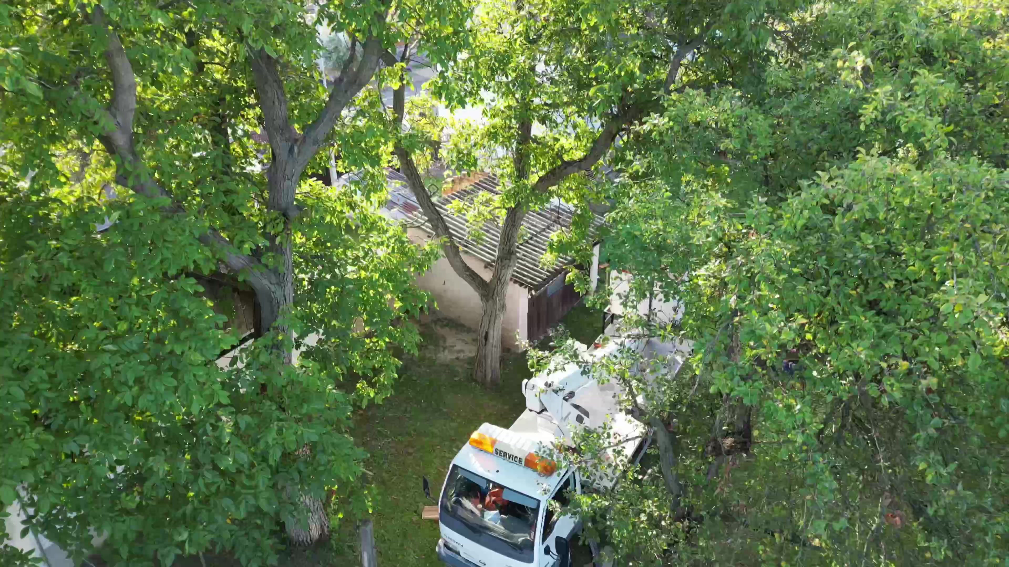 Služby Macreal foto 2 (náhled videa)