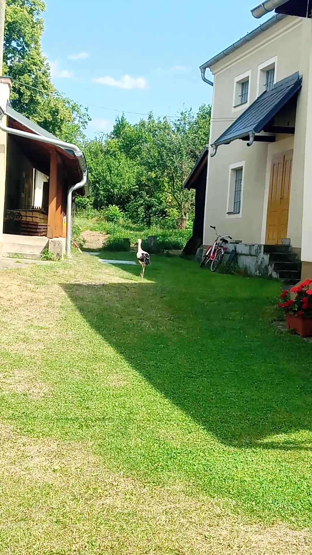 Pipalův vodní válcový mlýn foto 2 (náhled videa)