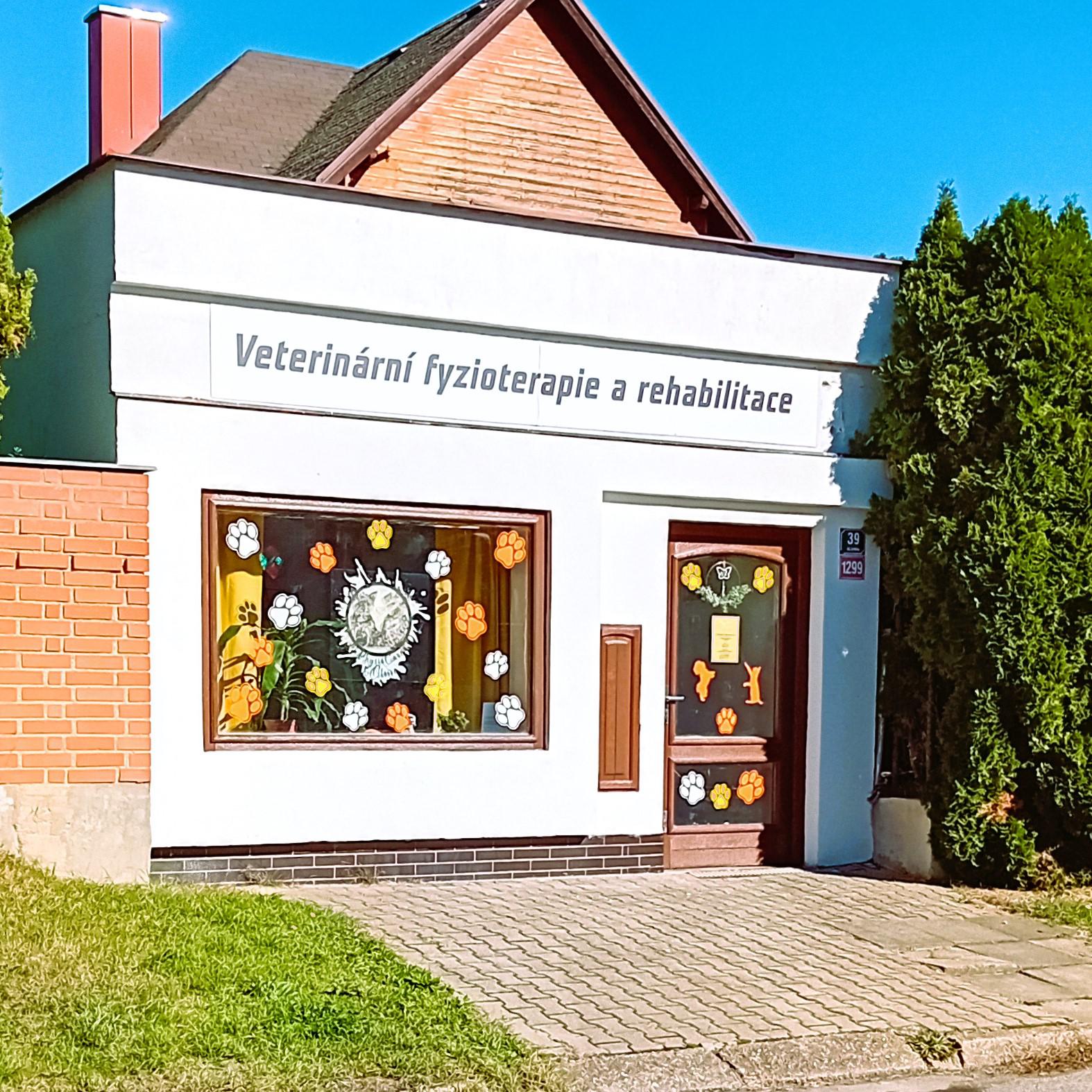 PhysioCare by Claire foto 6