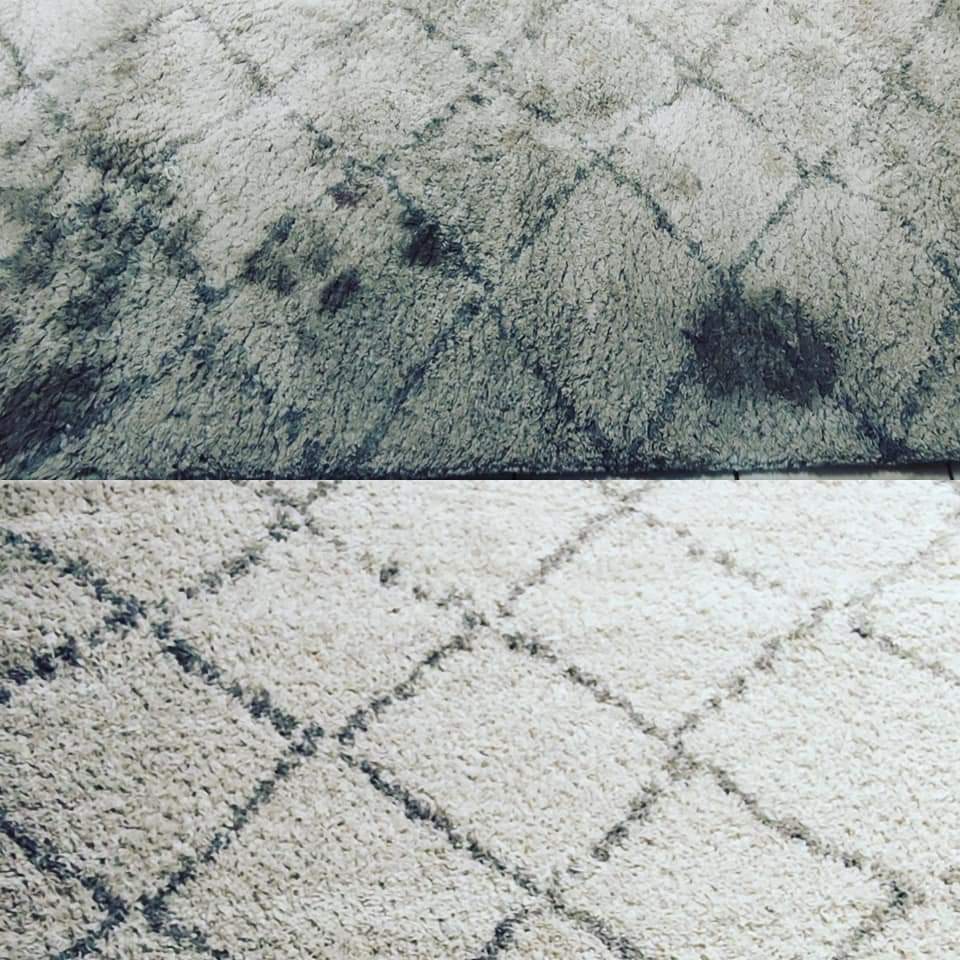 Pradelnakobercu.cz - profesionální čištění koberců Dušková foto 4