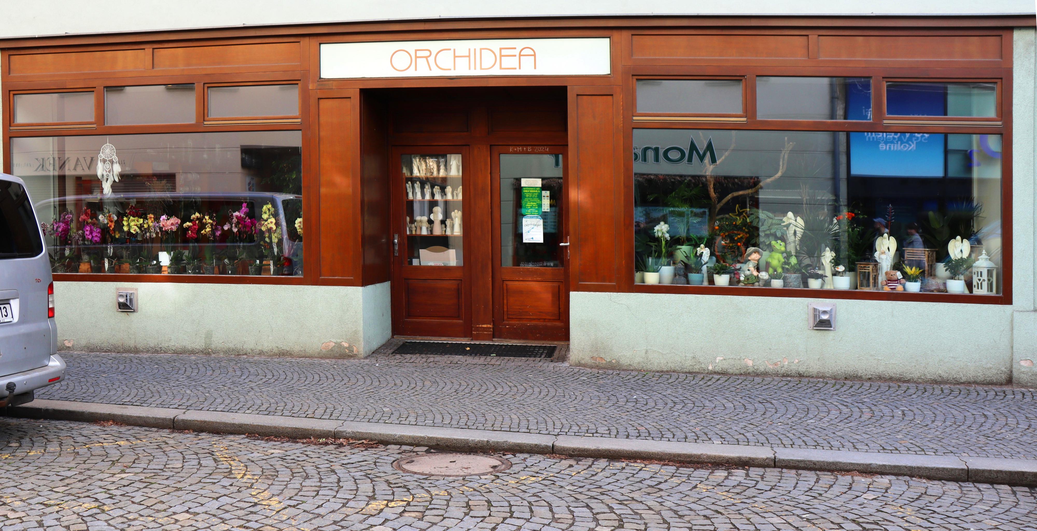 Květinová Síň Orchidea foto 2
