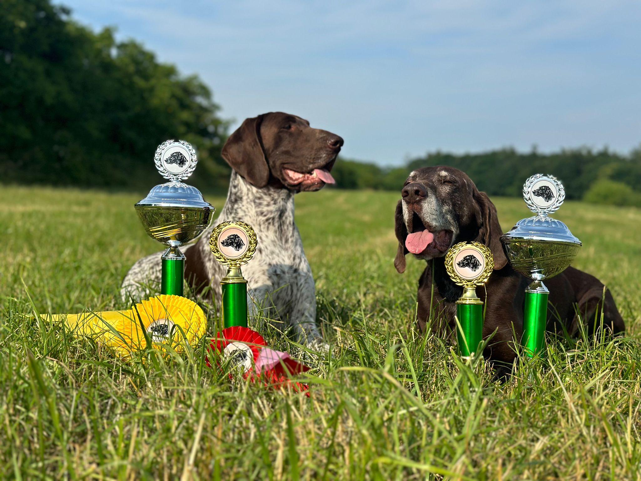 Ing. Zuzana Čechová foto 3