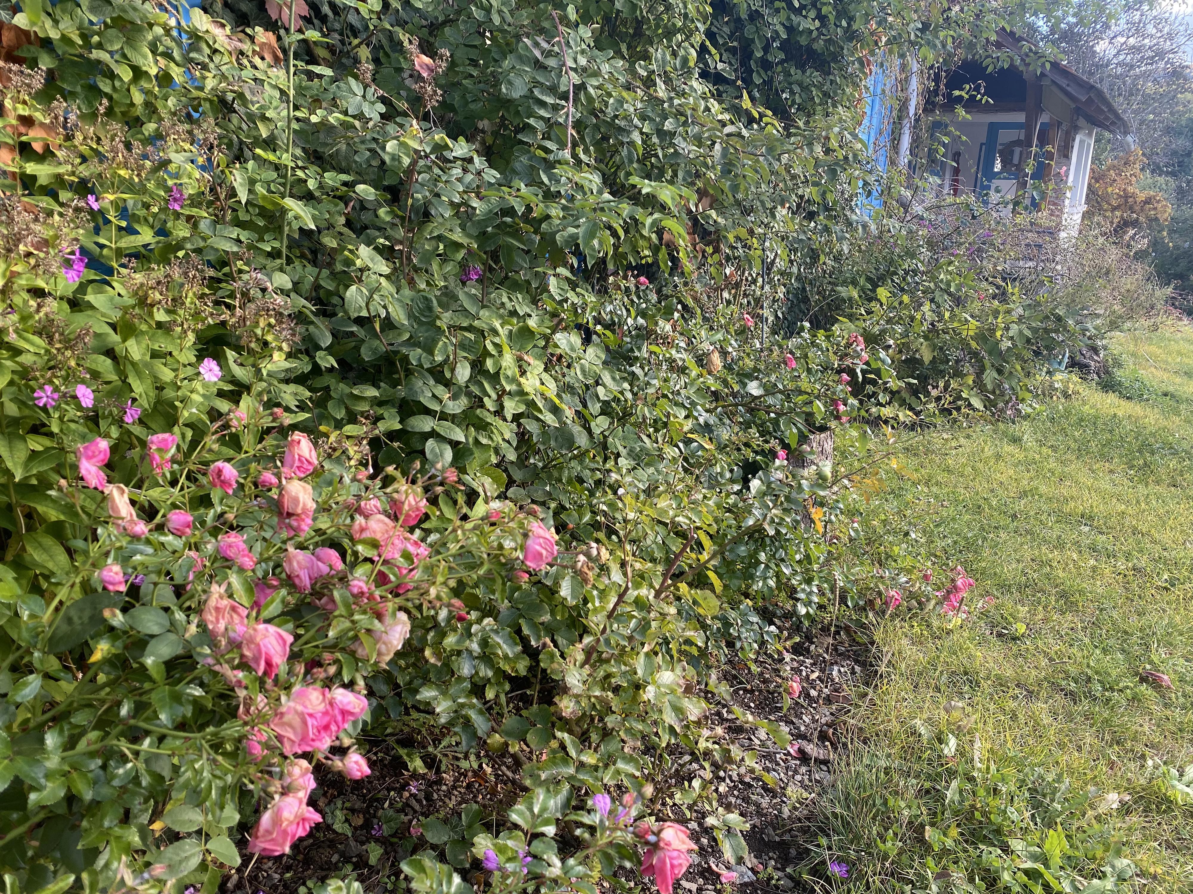 Chalupa u Bylinkářky foto 6