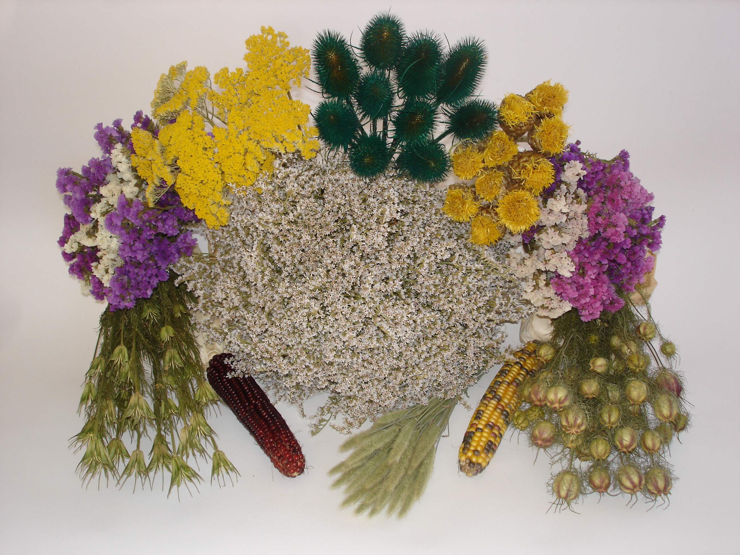 Sušené květiny - Stanislav Šafránek foto 2