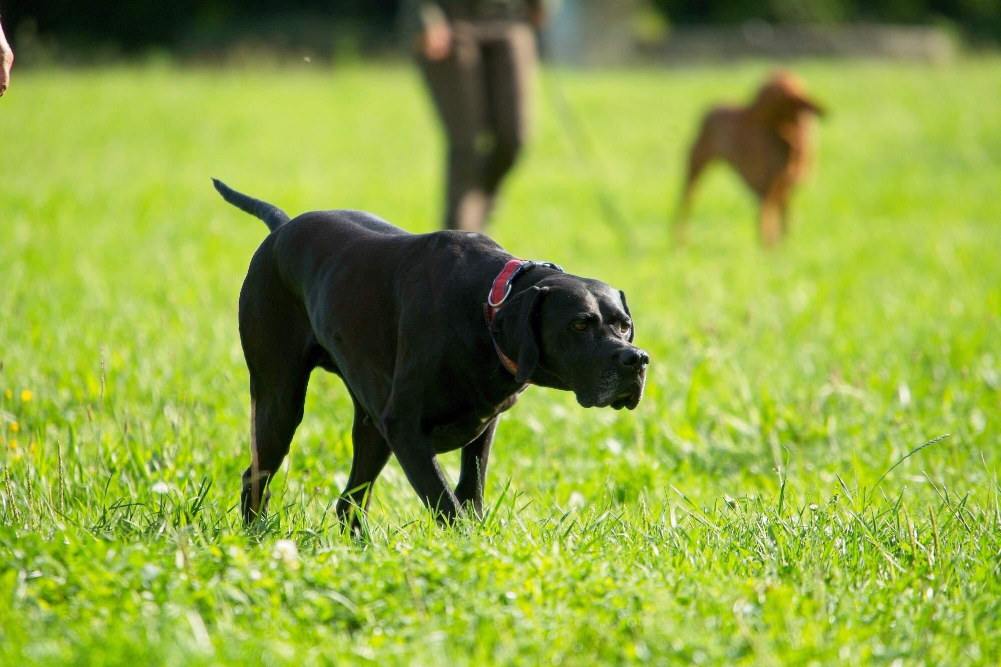 Ing. Zuzana Čechová foto 1