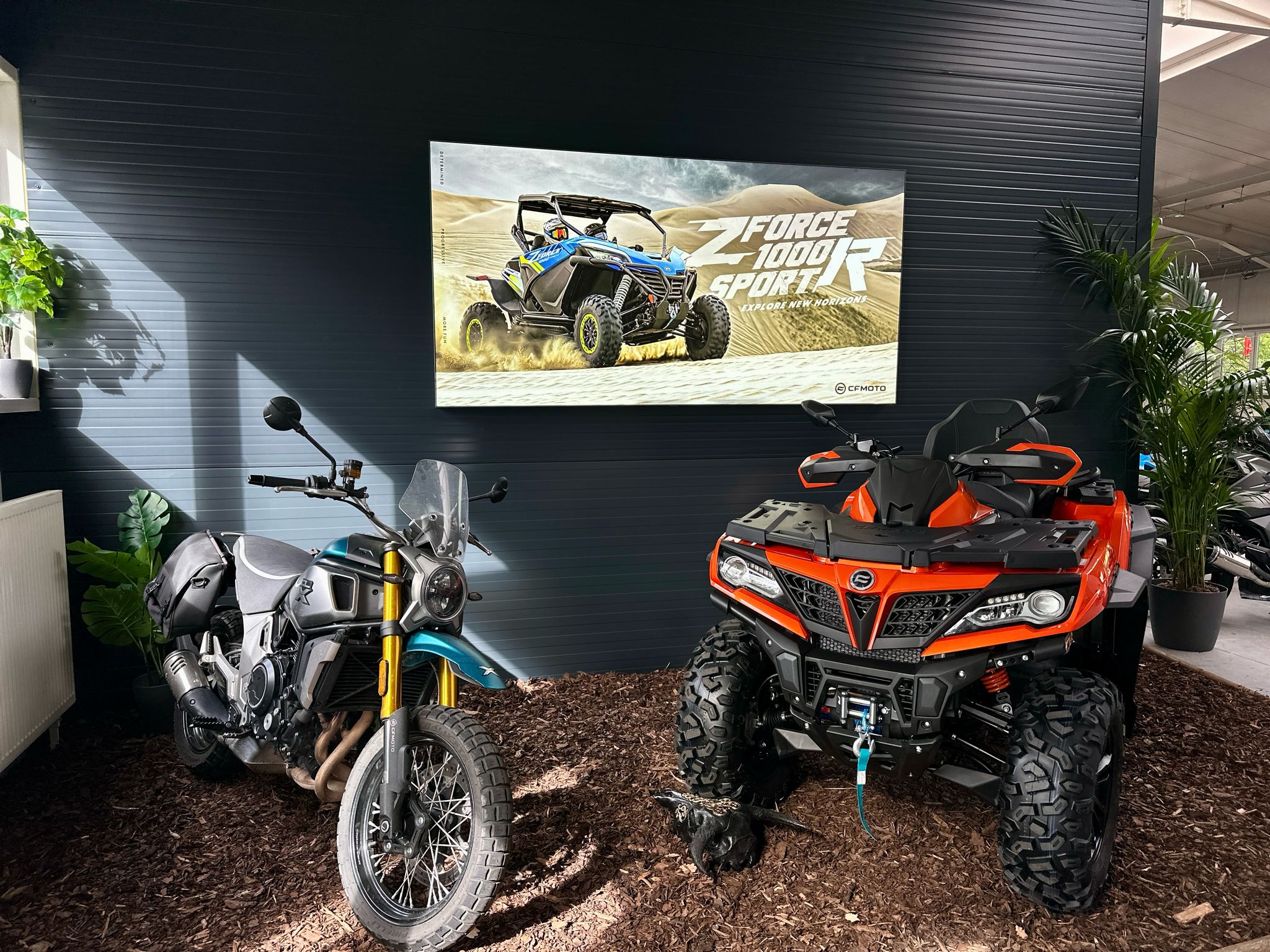 Throttle Punks | CFMOTO