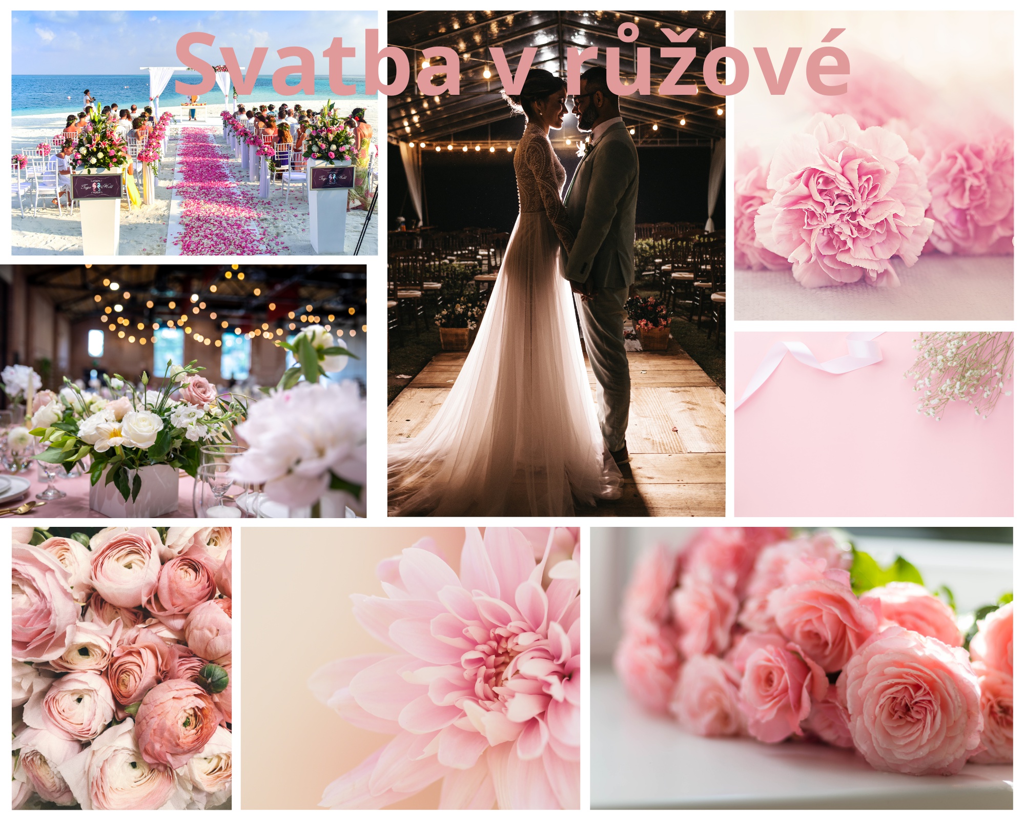 Květinové aféry foto 4