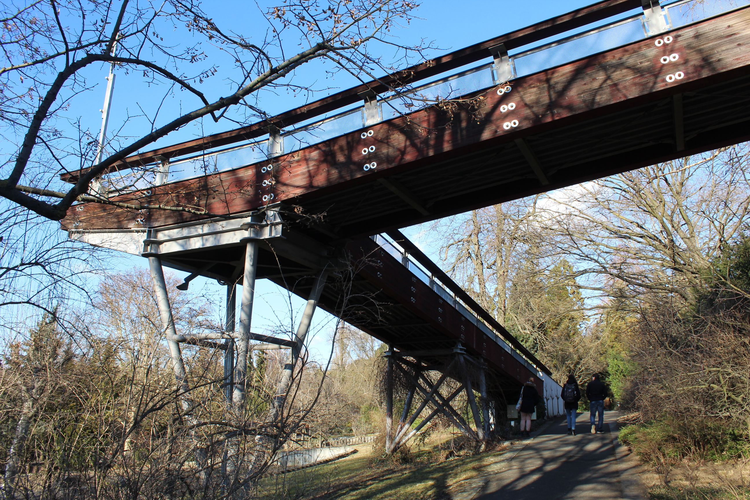 Mendelova univerzita v Brně - Botanická zahrada a arboretum foto 1
