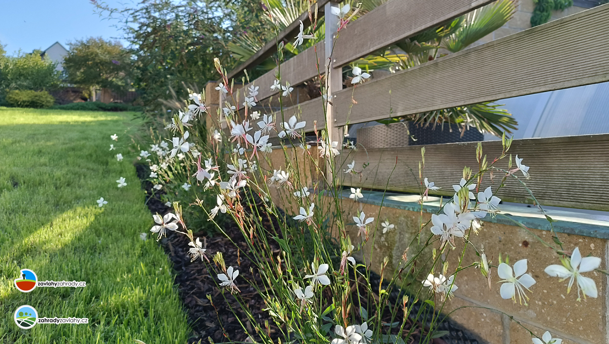 ZAVLAHYZAHRADY - Mgr. Michal Trávníček foto 2