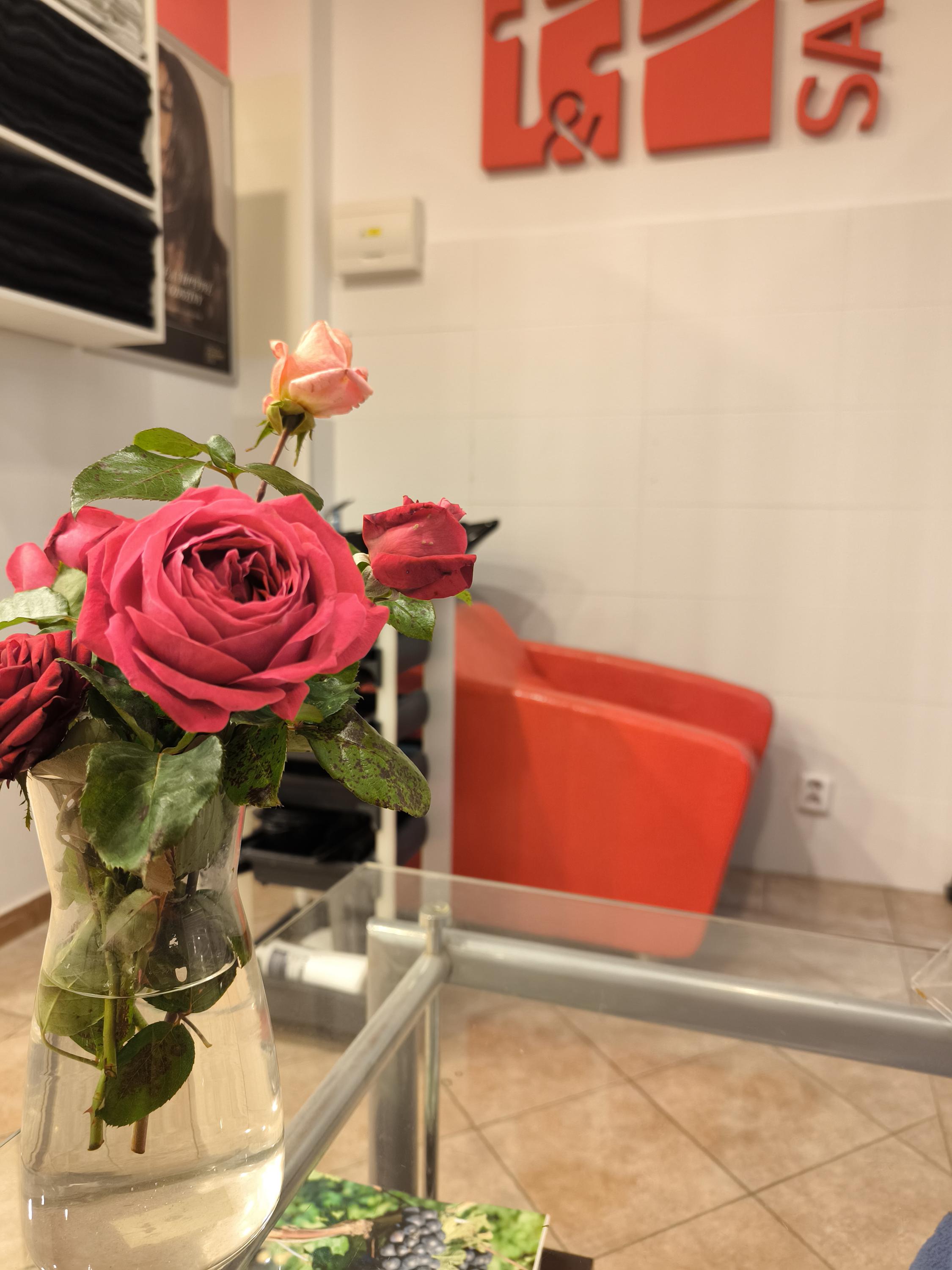 P&P SALON foto 5