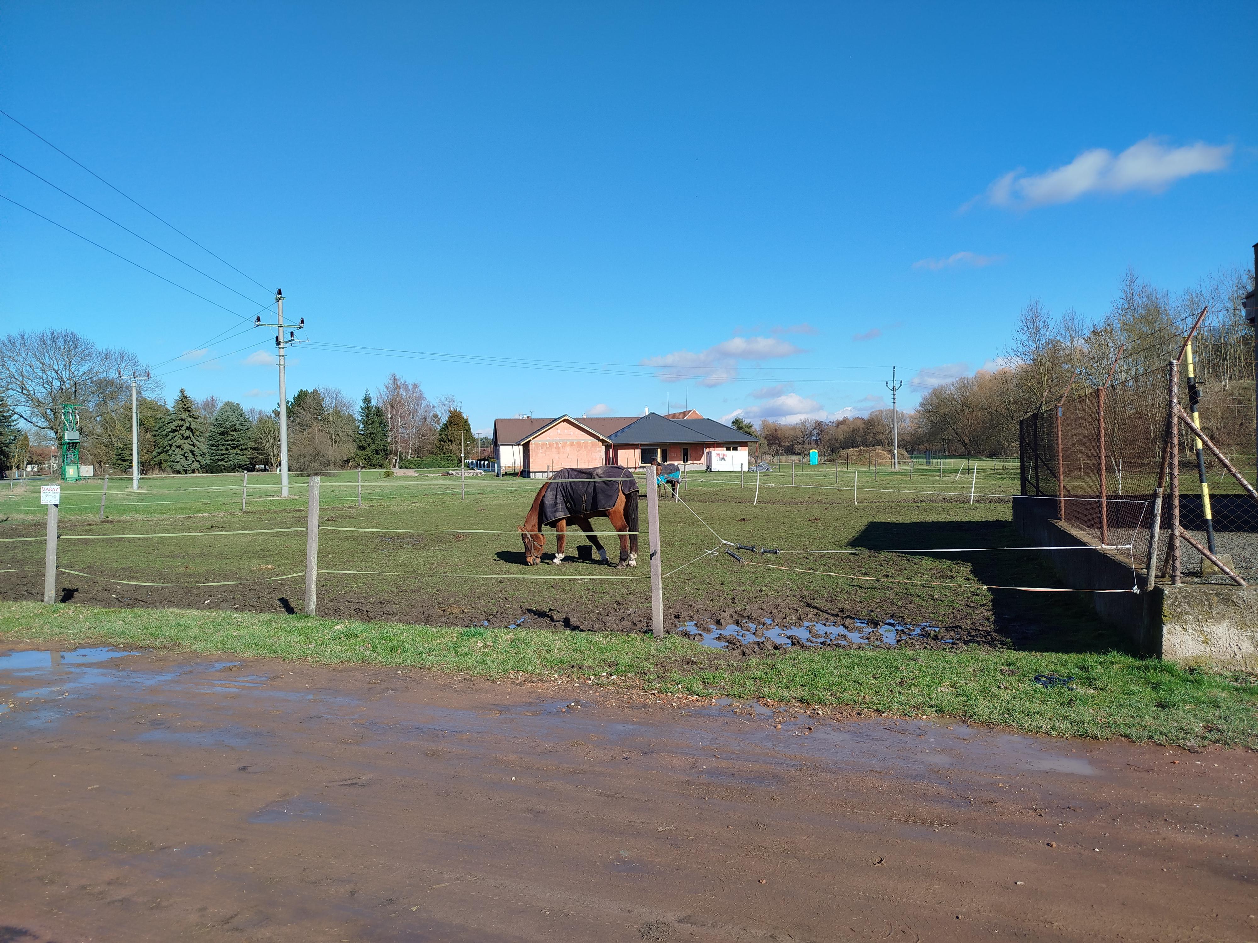 JEZDECKÝ KLUB FLAMENCO SLOUPNO foto 3