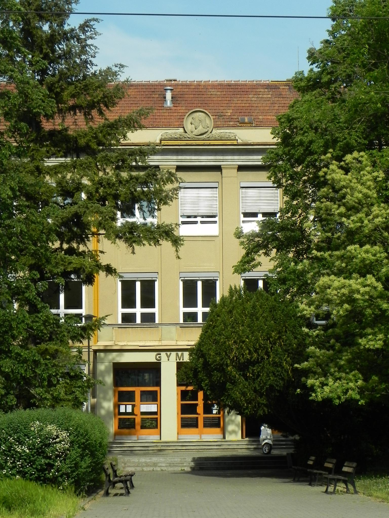Gymnázium Brno, Vídeňská foto 6